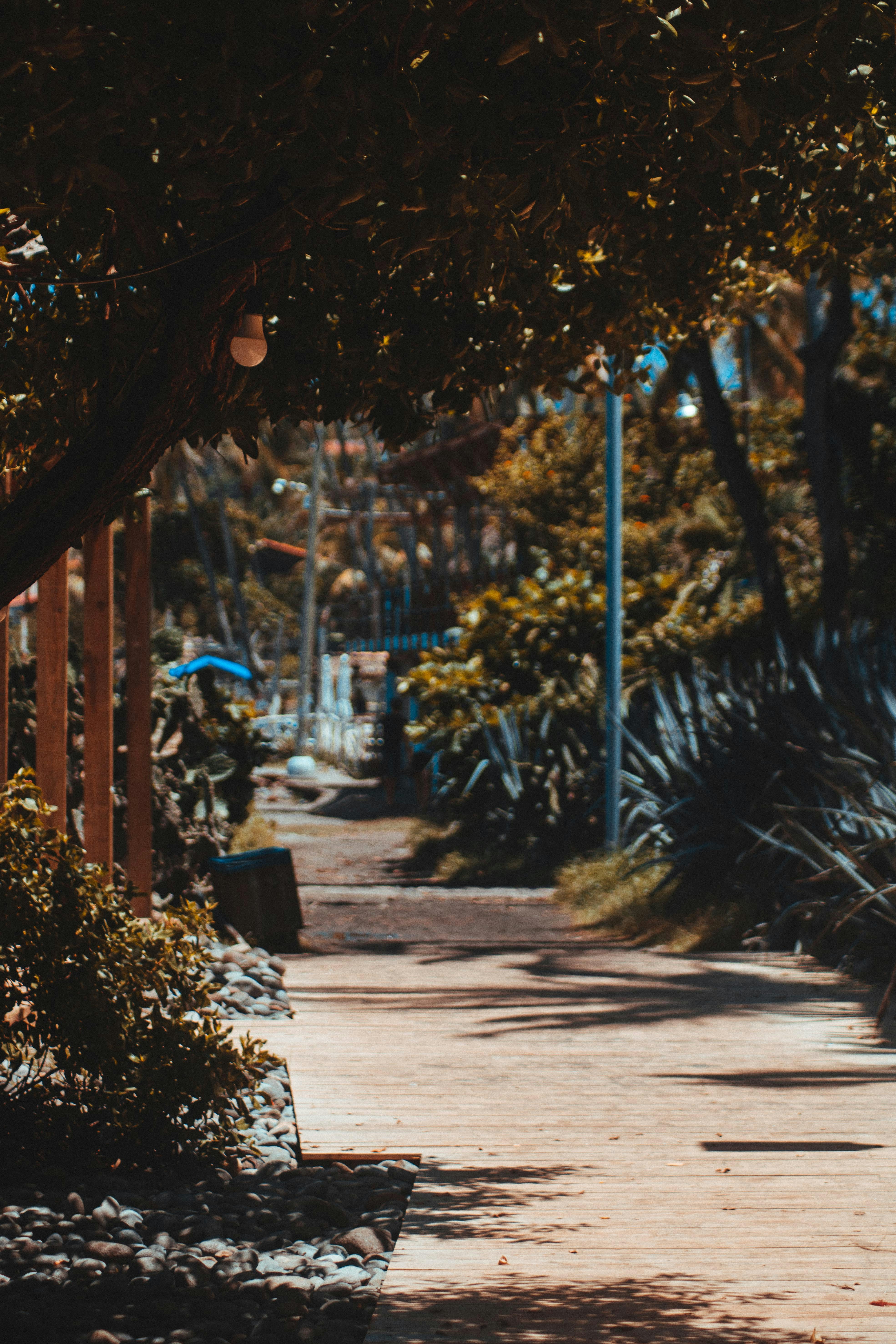 Photo by daniel_castellon20