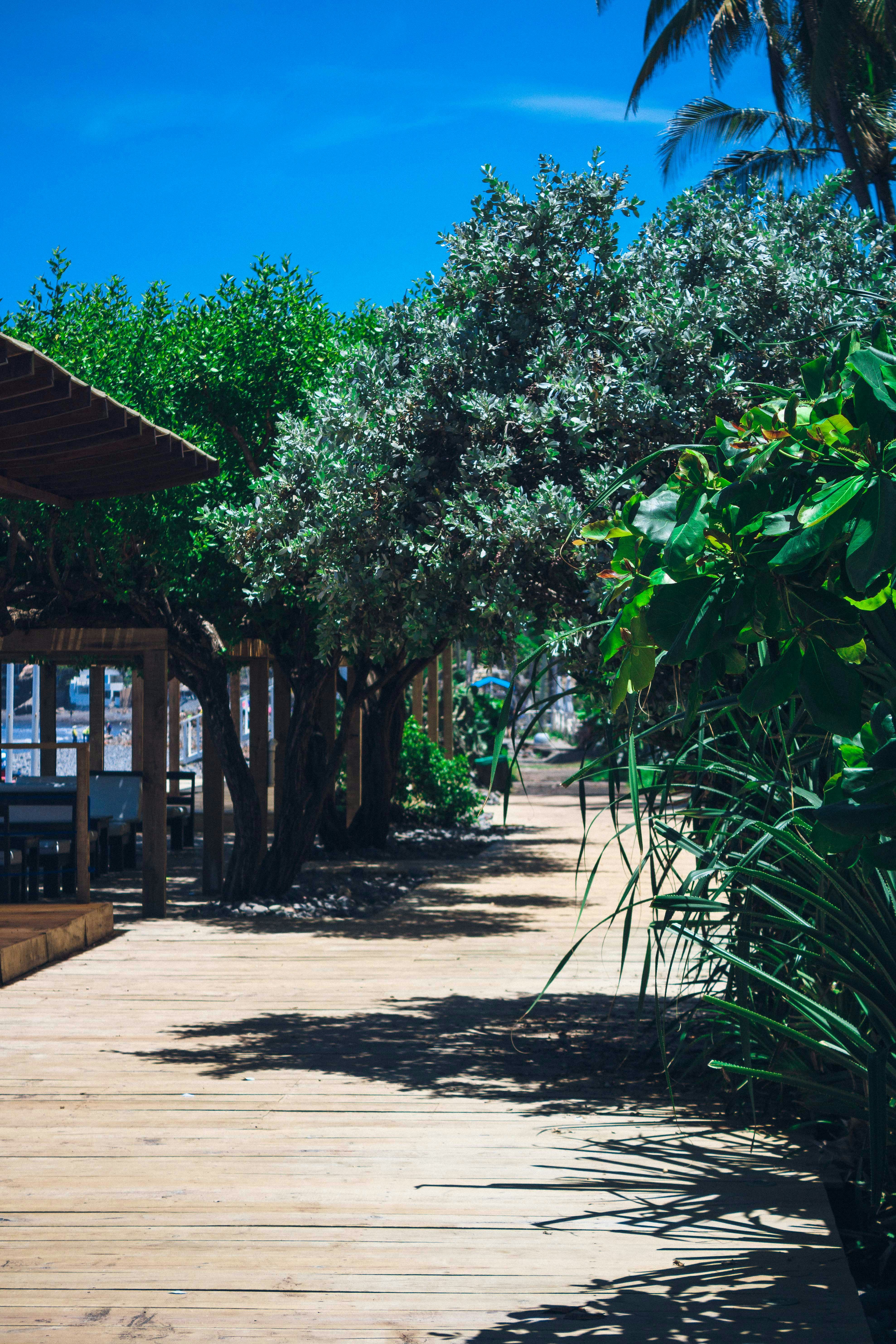 Photo by daniel_castellon20