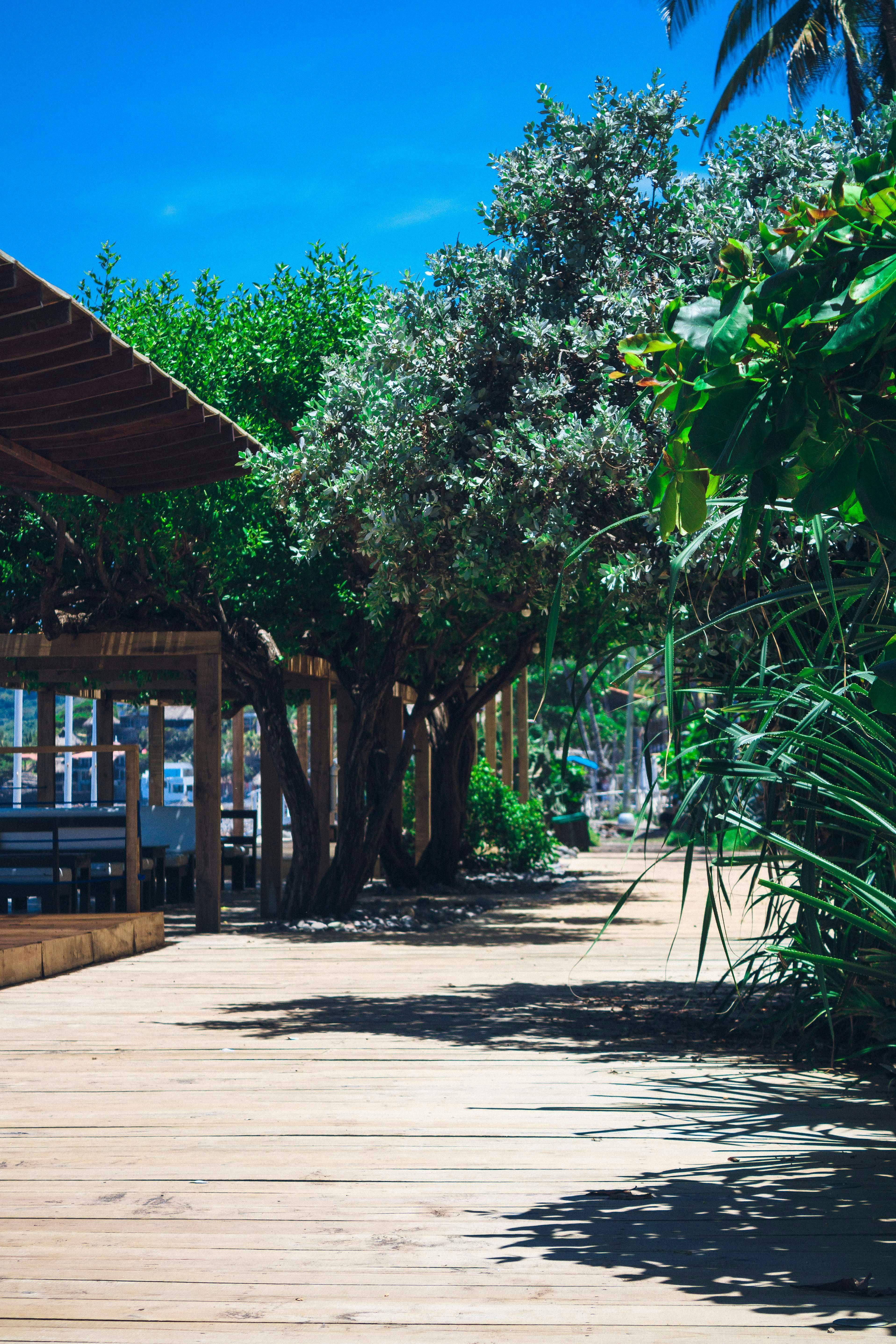 Photo by daniel_castellon20