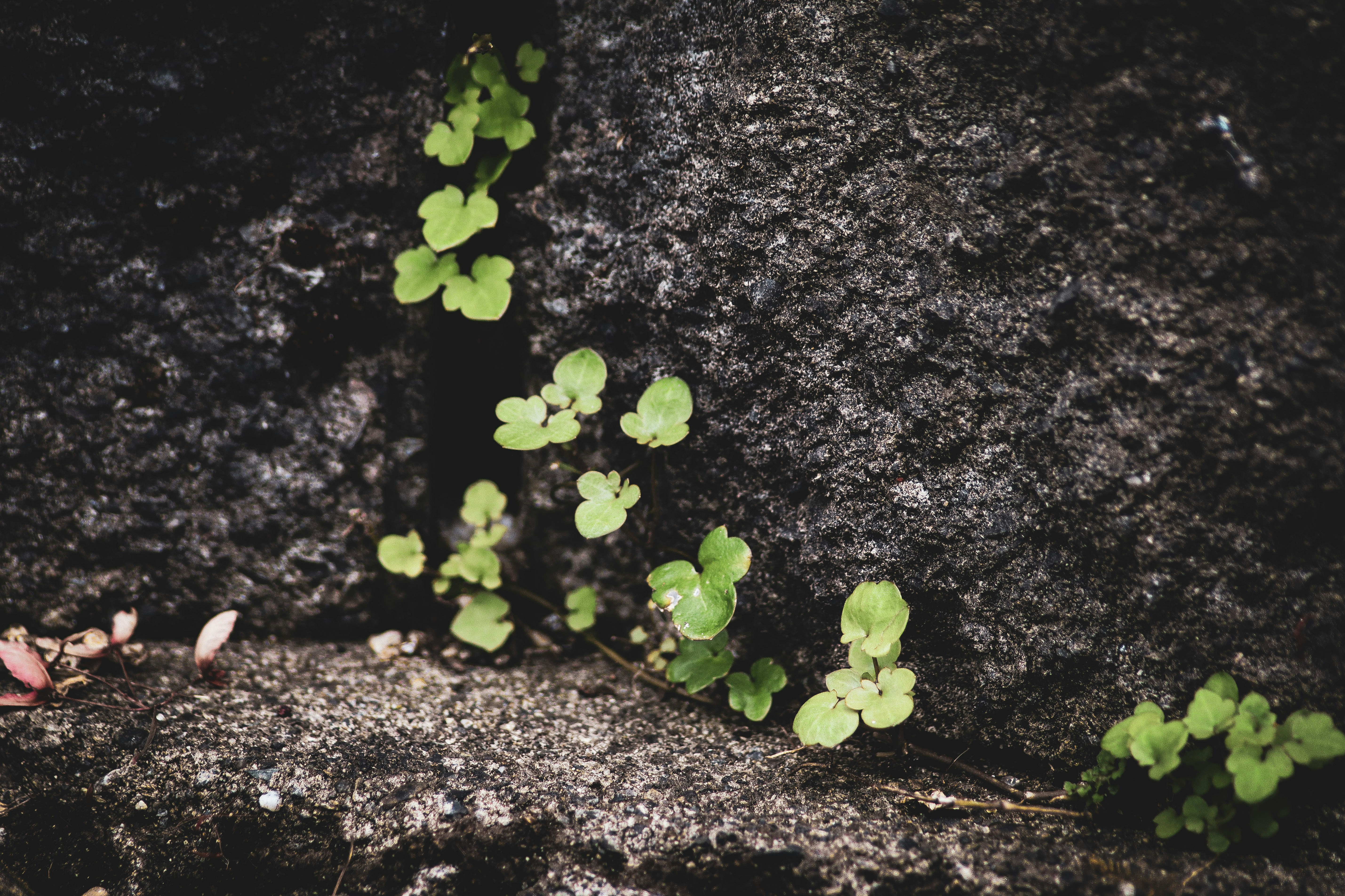 Photo by justbreakingstuff