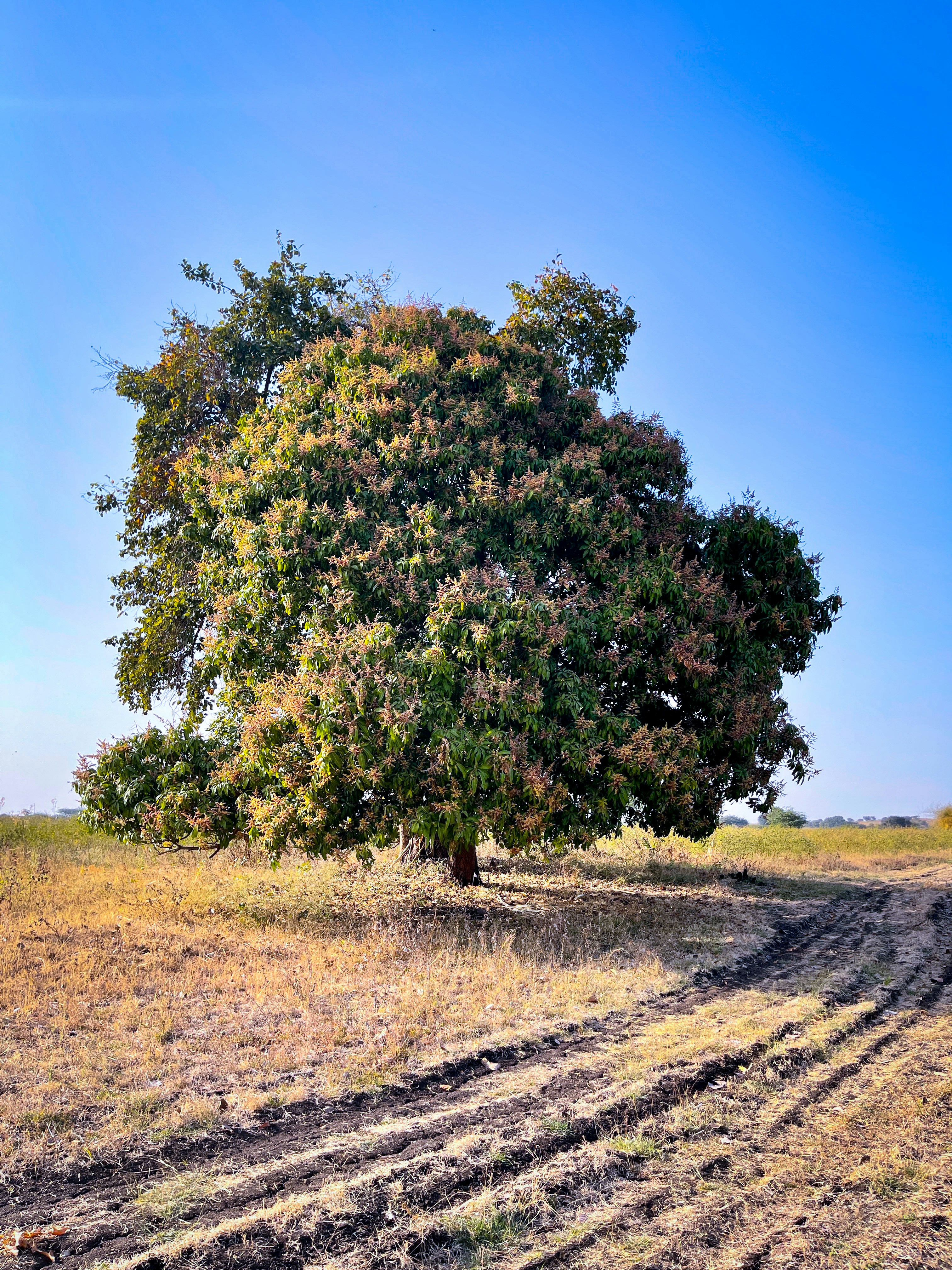Photo by nikunjmundra