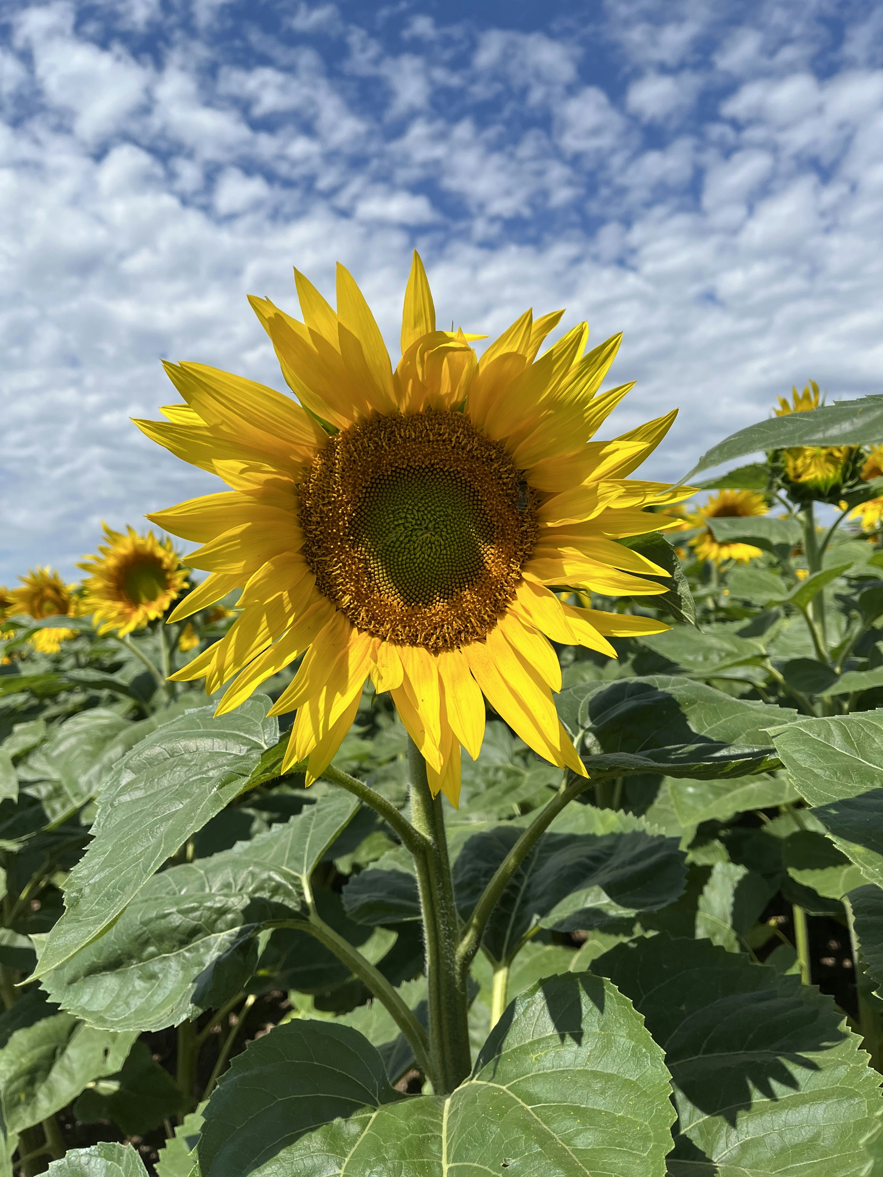 Photo by luptakirange10