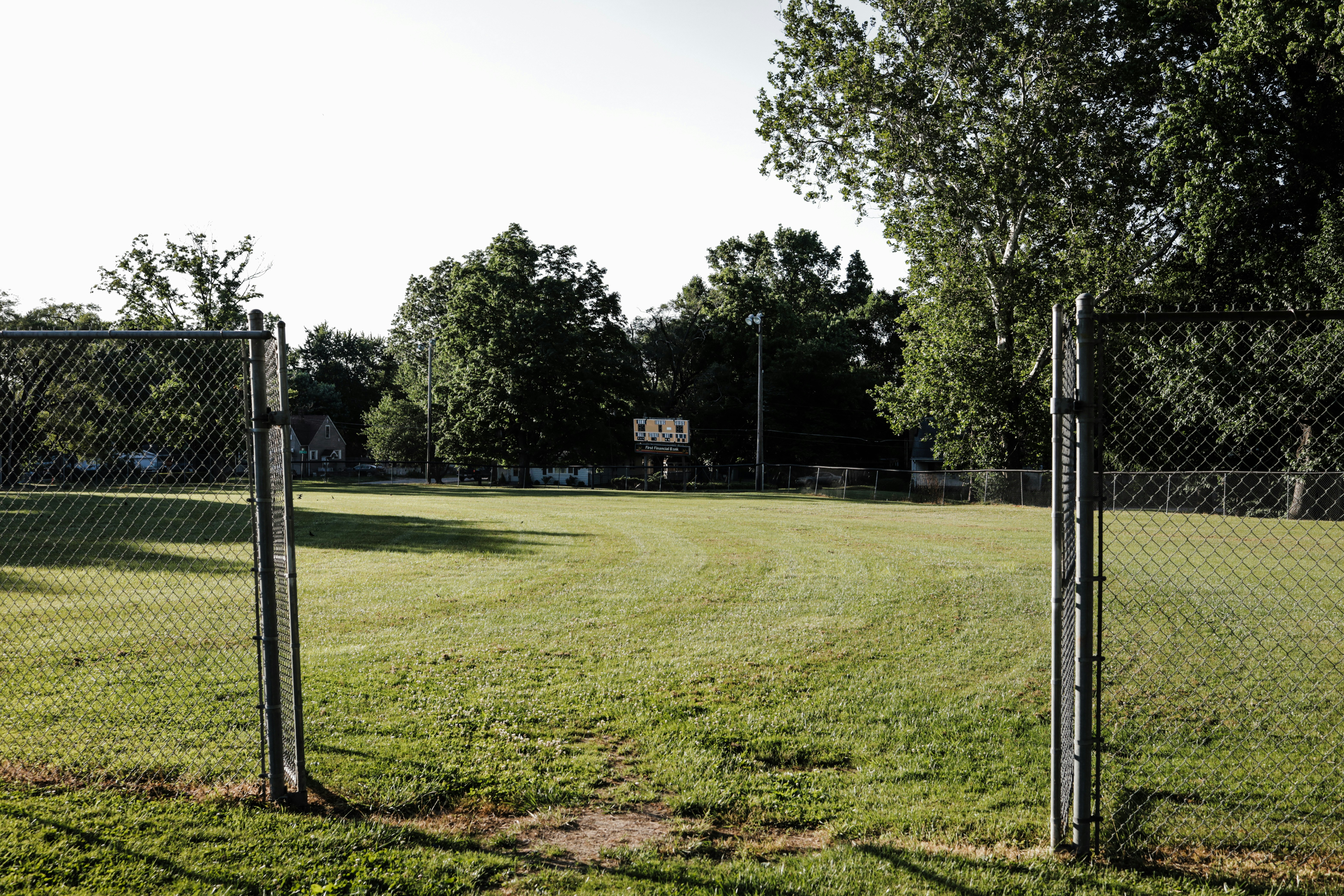 Expert landscaping and yard clean-up services in Sebring, Florida by Threefold