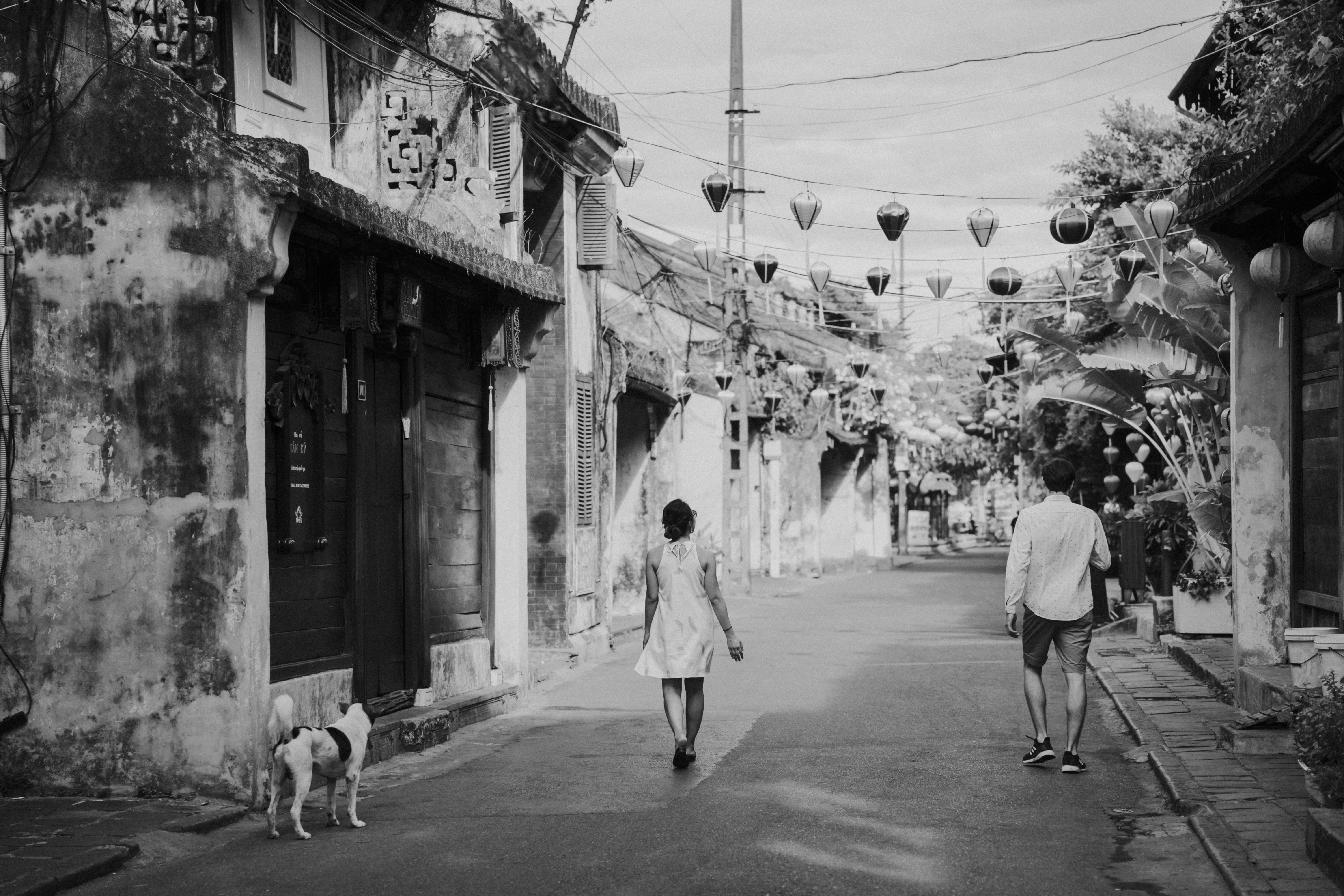 Photo by hoianphotographer