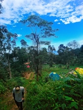 A person is walking along a trail surrounded by lush green vegetation. There are several colorful tents pitched nearby, suggesting a campsite. Tall trees cover the area, and the sky is bright with scattered clouds, creating a vibrant and serene outdoor atmosphere.