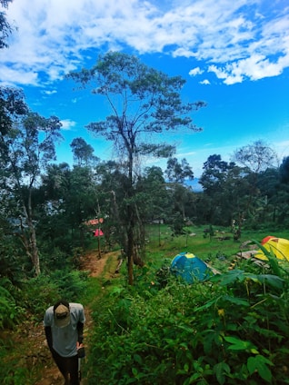 A person is walking along a trail surrounded by lush green vegetation. There are several colorful tents pitched nearby, suggesting a campsite. Tall trees cover the area, and the sky is bright with scattered clouds, creating a vibrant and serene outdoor atmosphere.