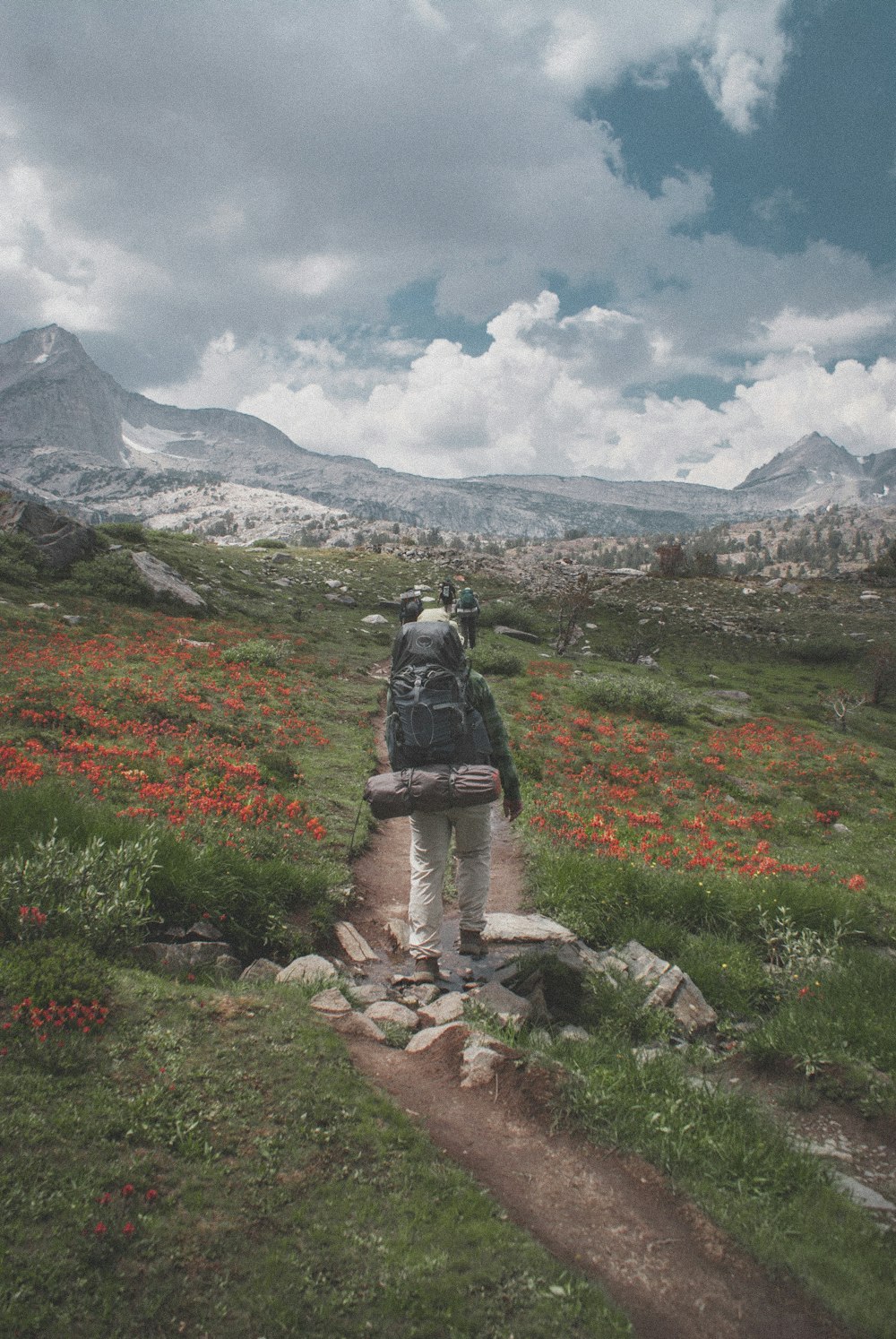 une personne debout sur une colline avec des fleurs et des montagnes en arrière-plan