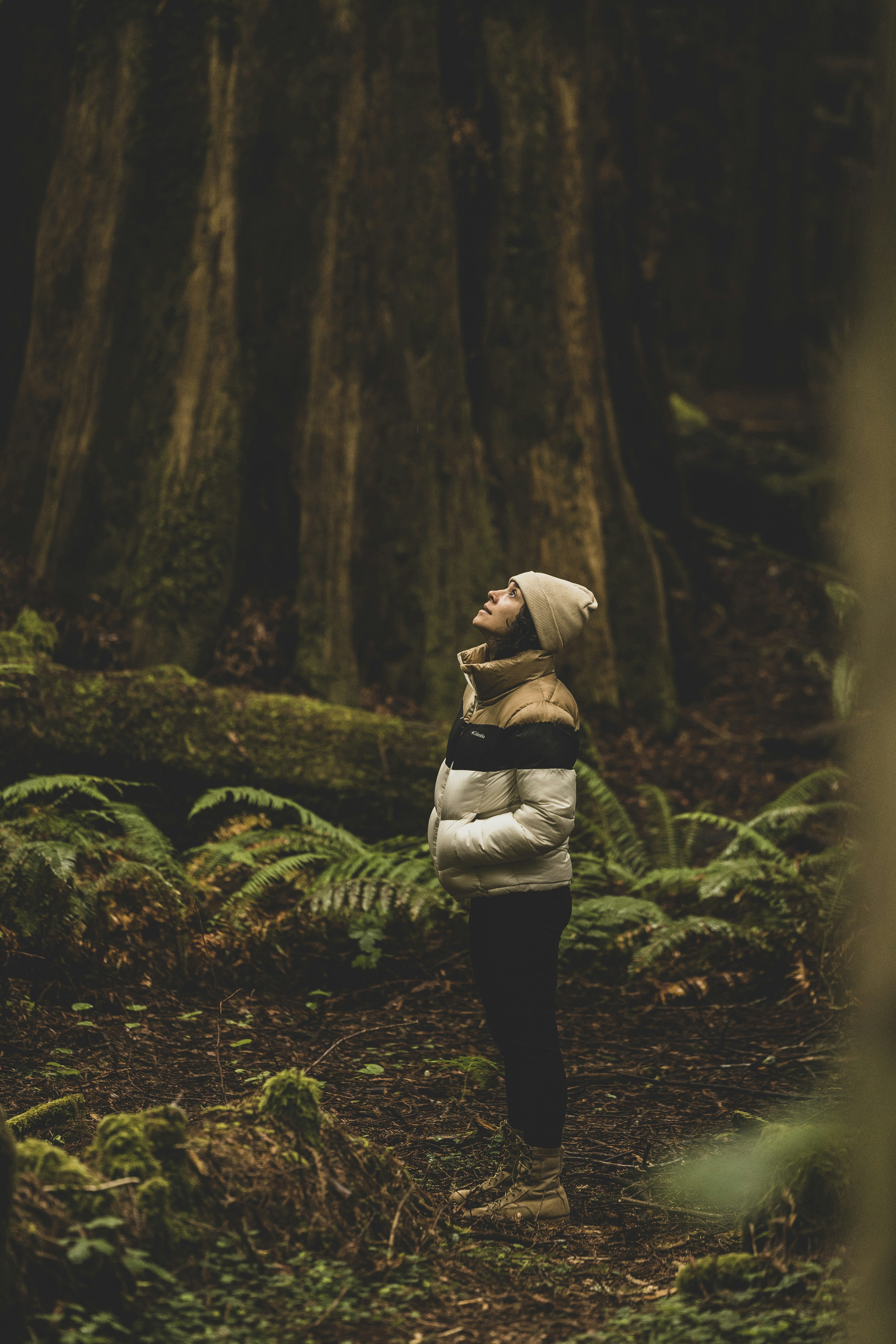 Photo by leo_visions_