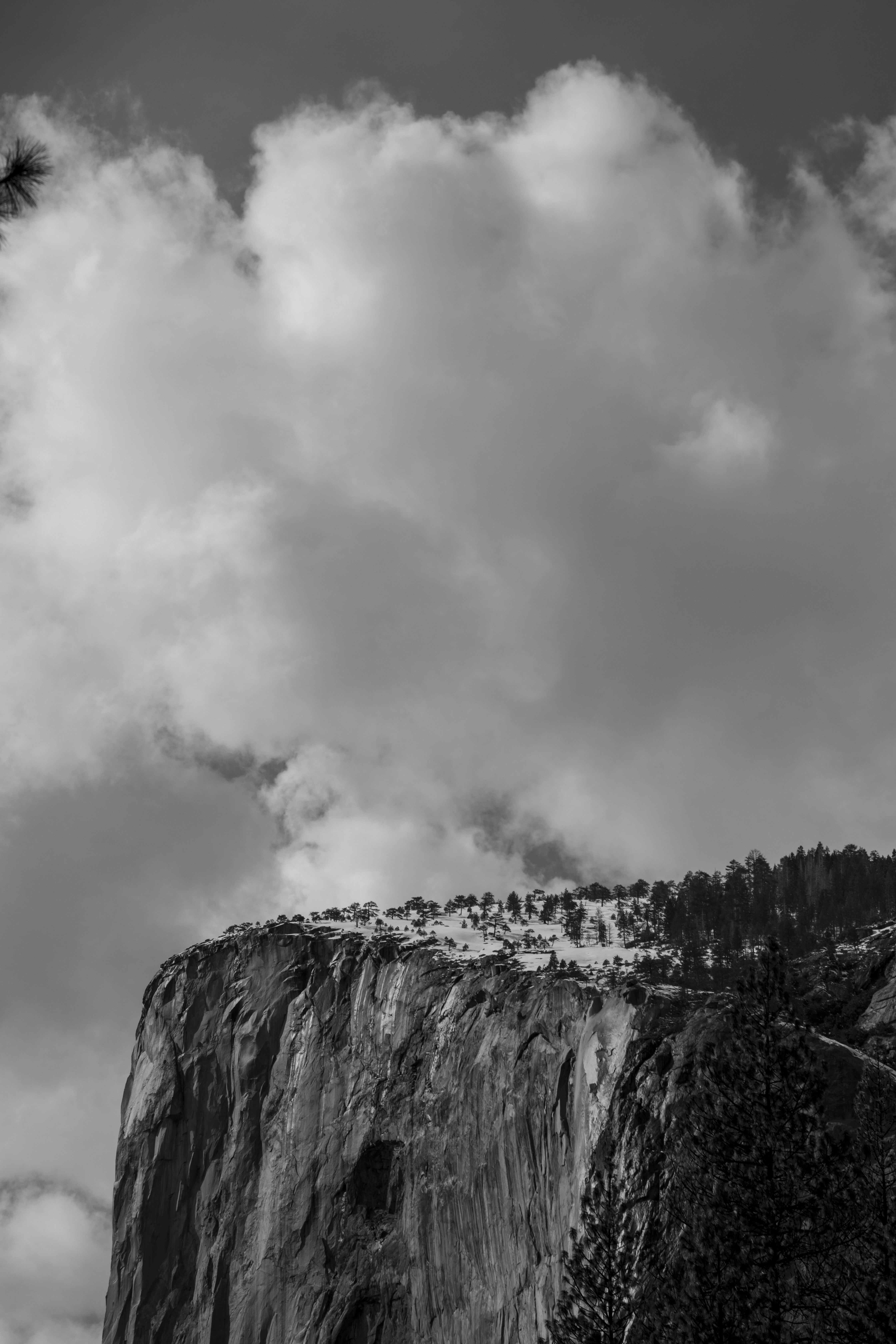 Photo by leo_visions_