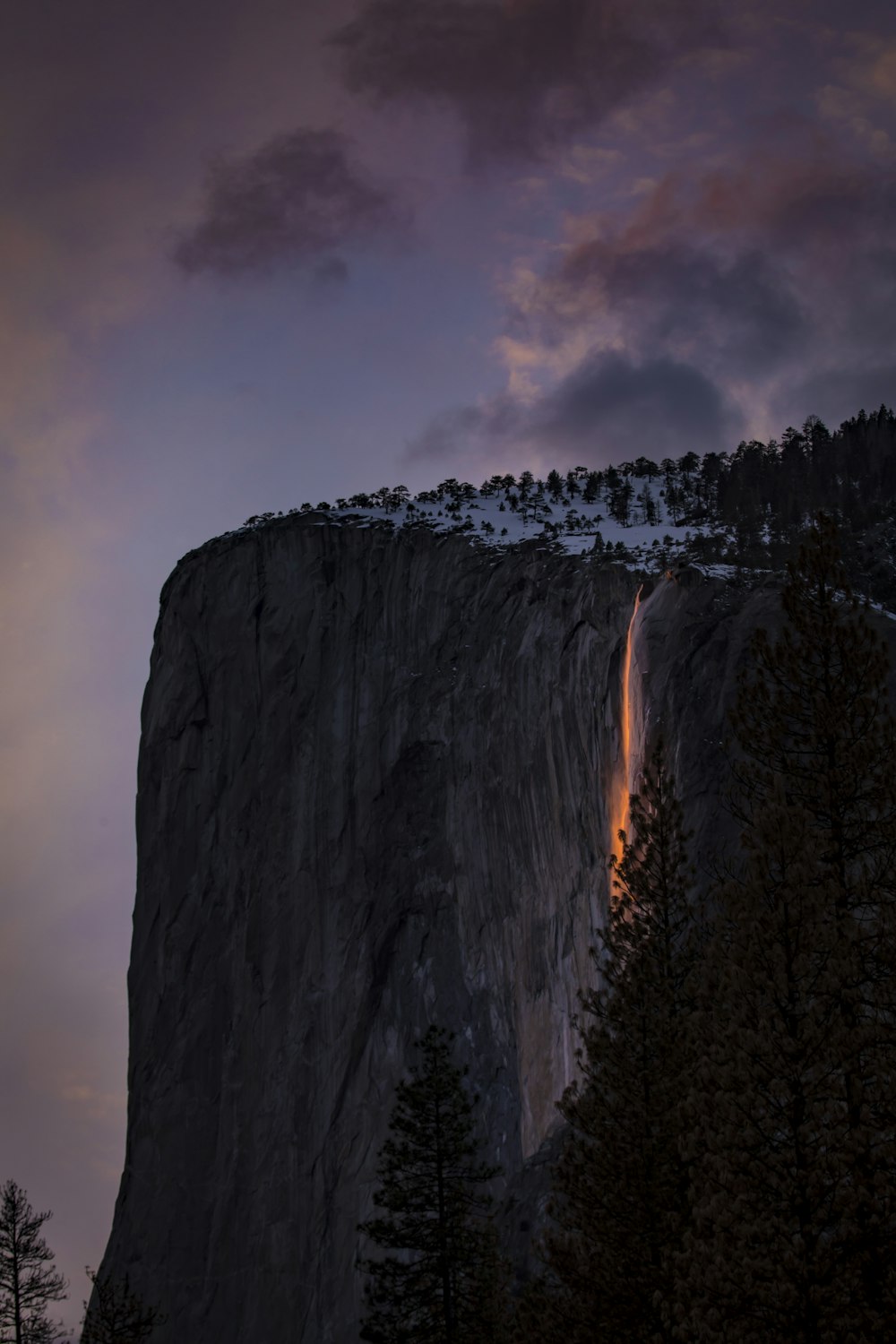 a waterfall and trees