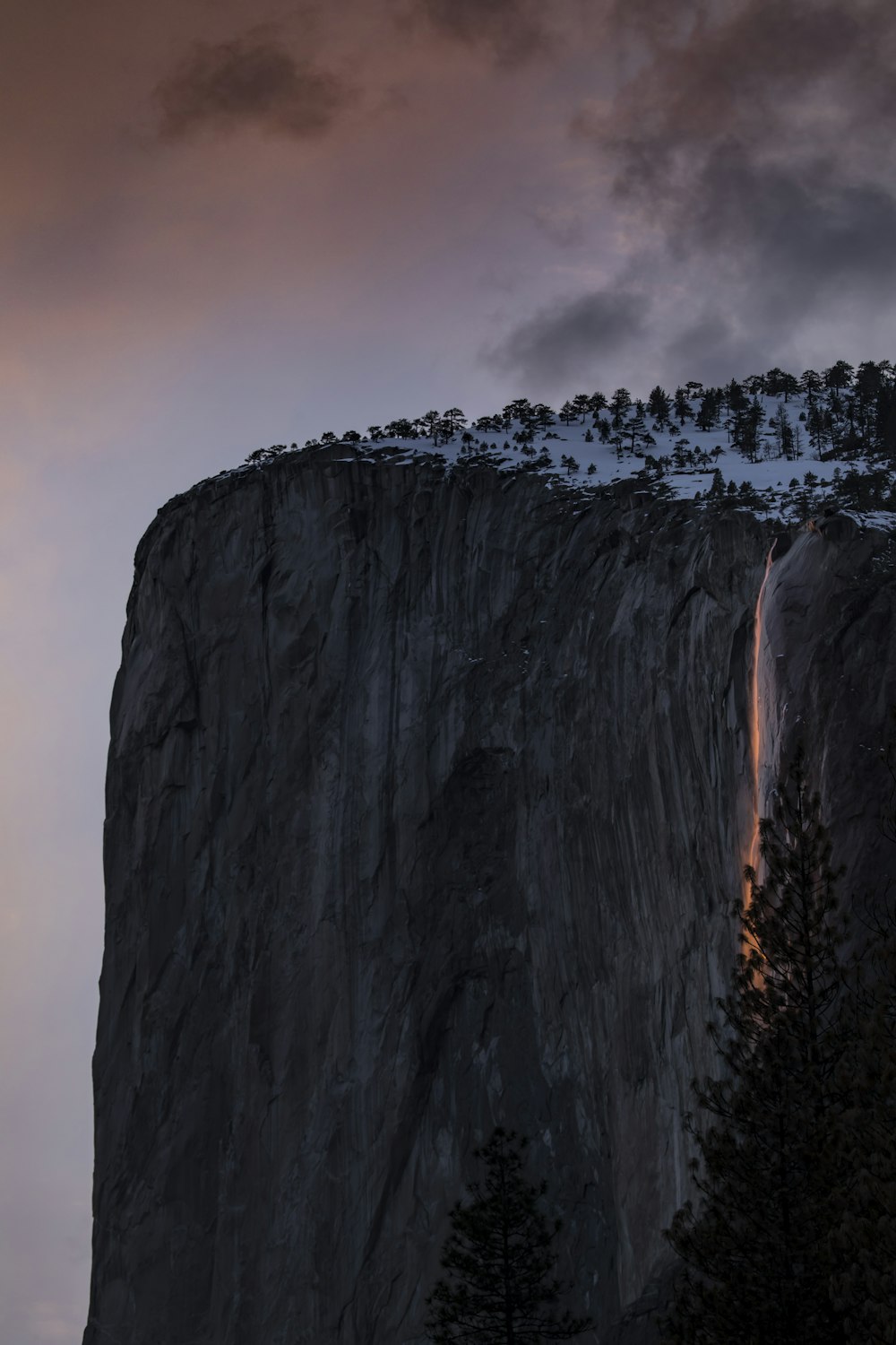 a large rock cliff with trees on it