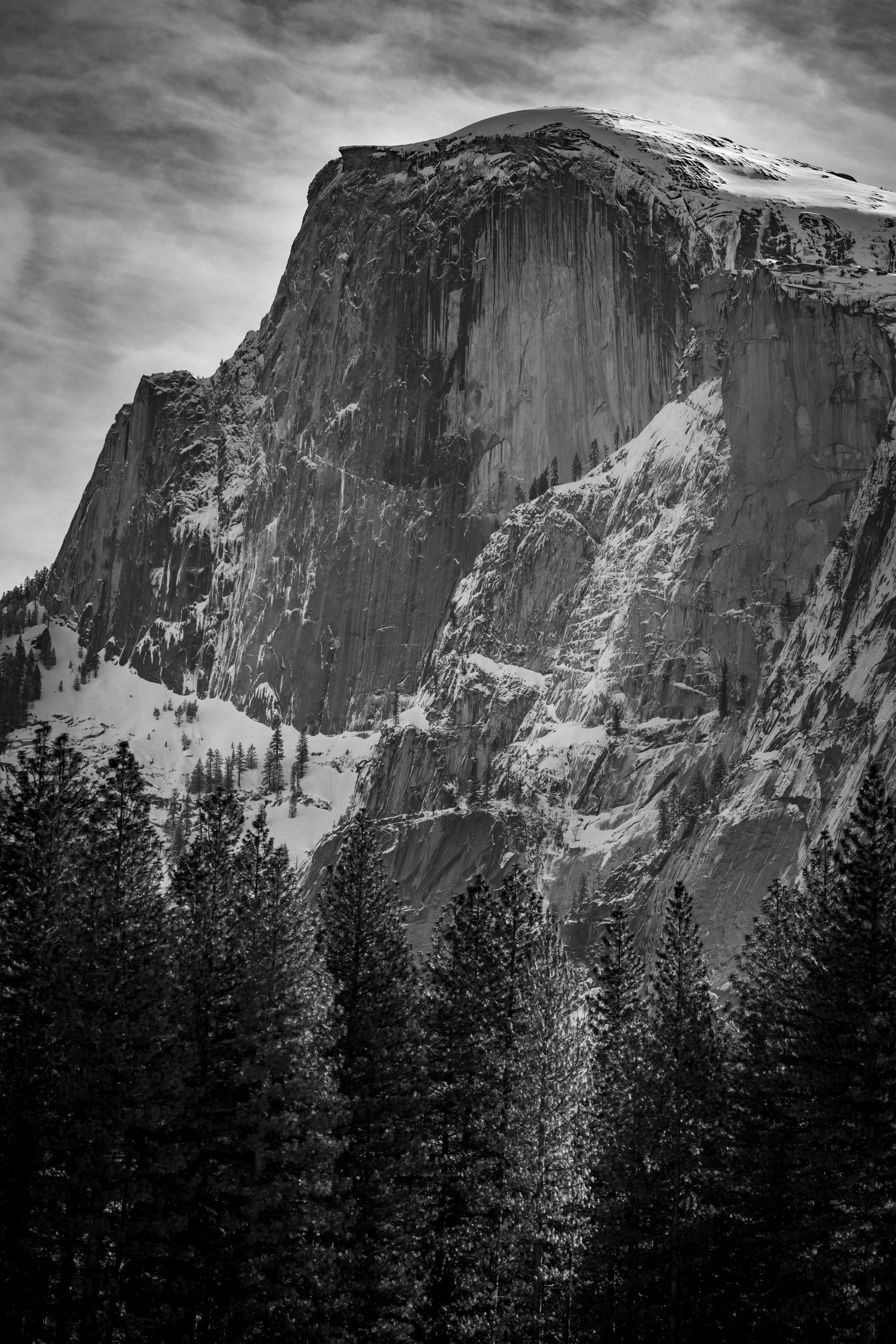 Photo by leo_visions_