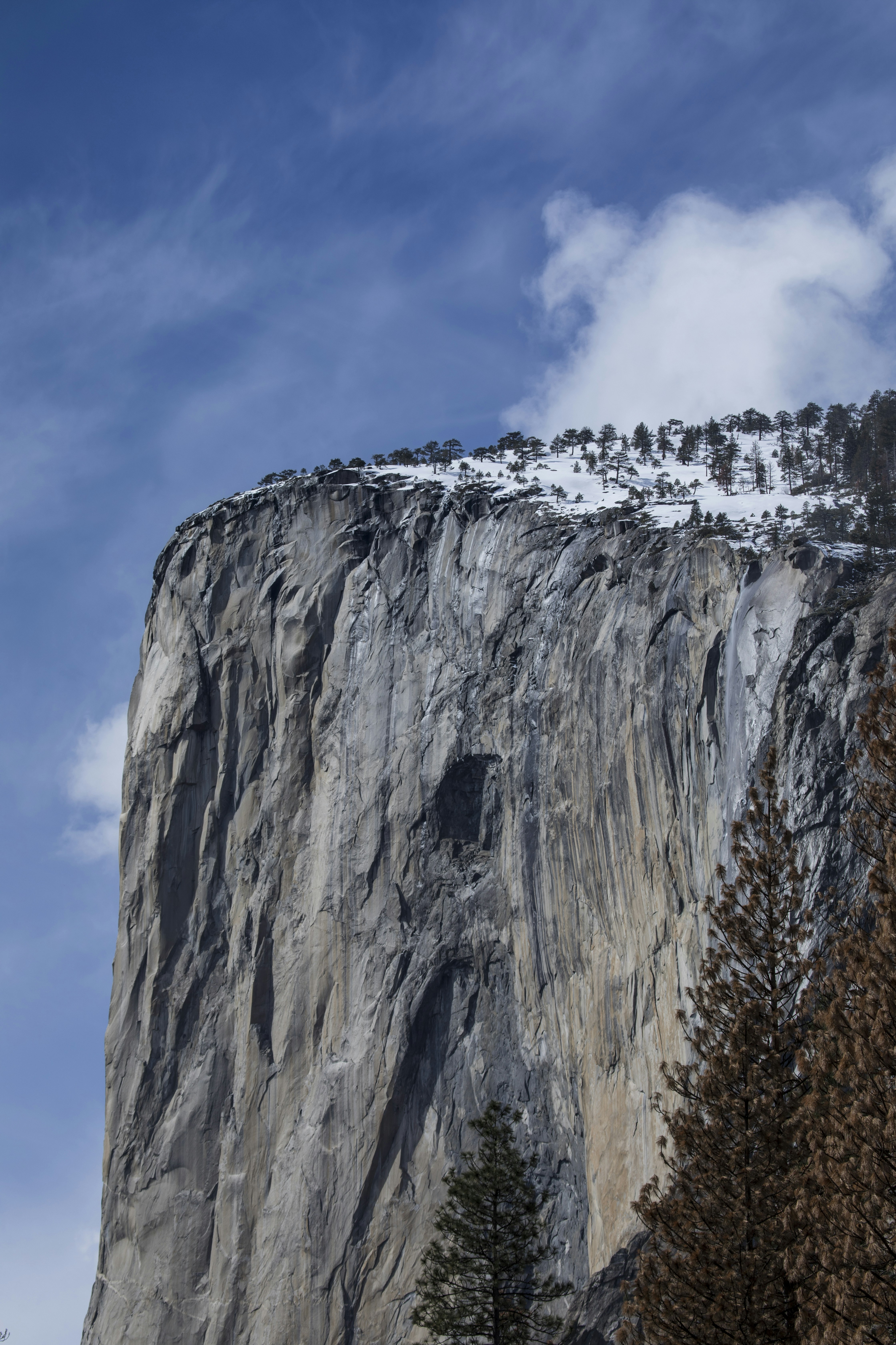 Photo by leo_visions_