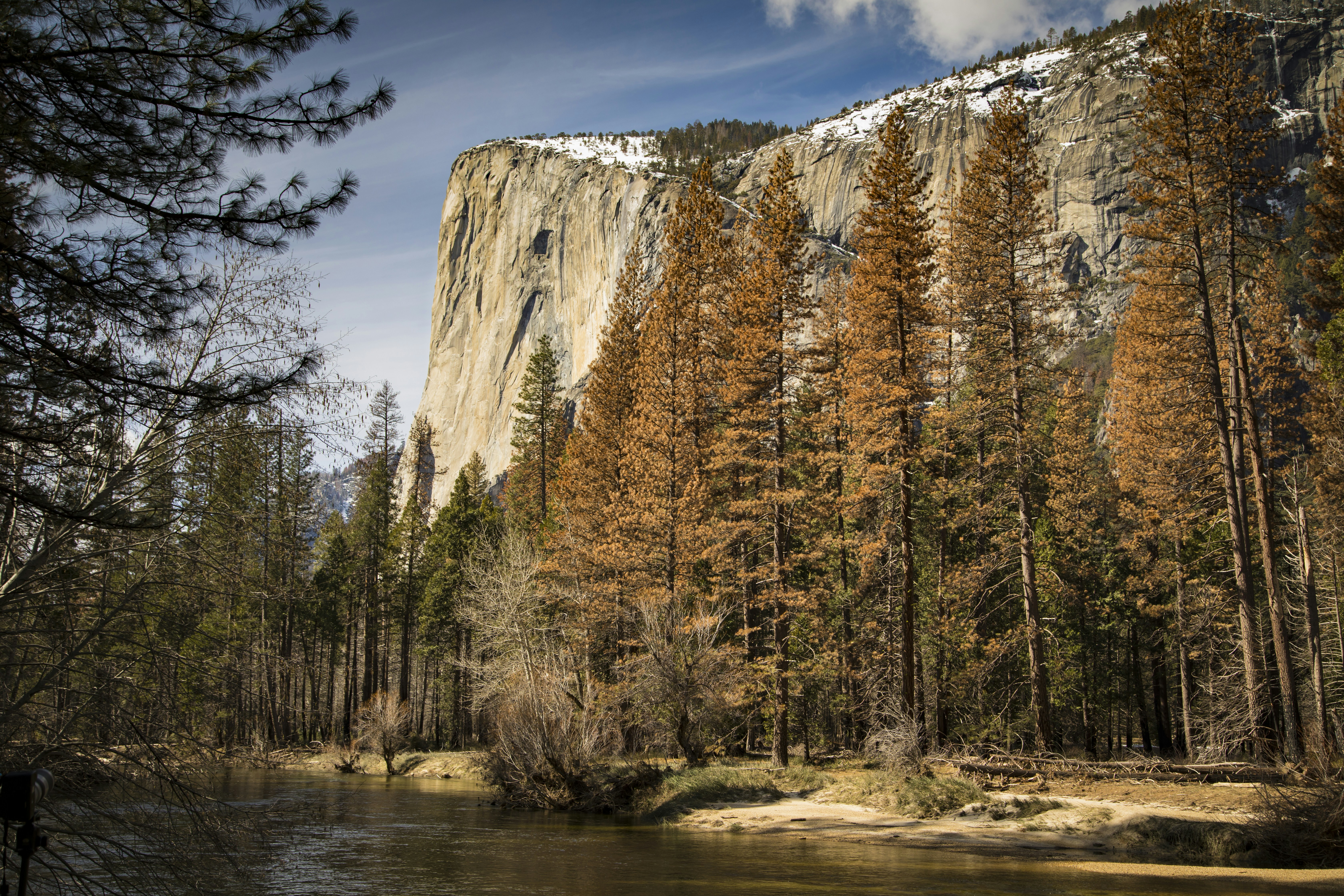 Photo by leo_visions_