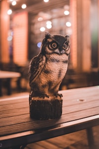 Owl Majesty