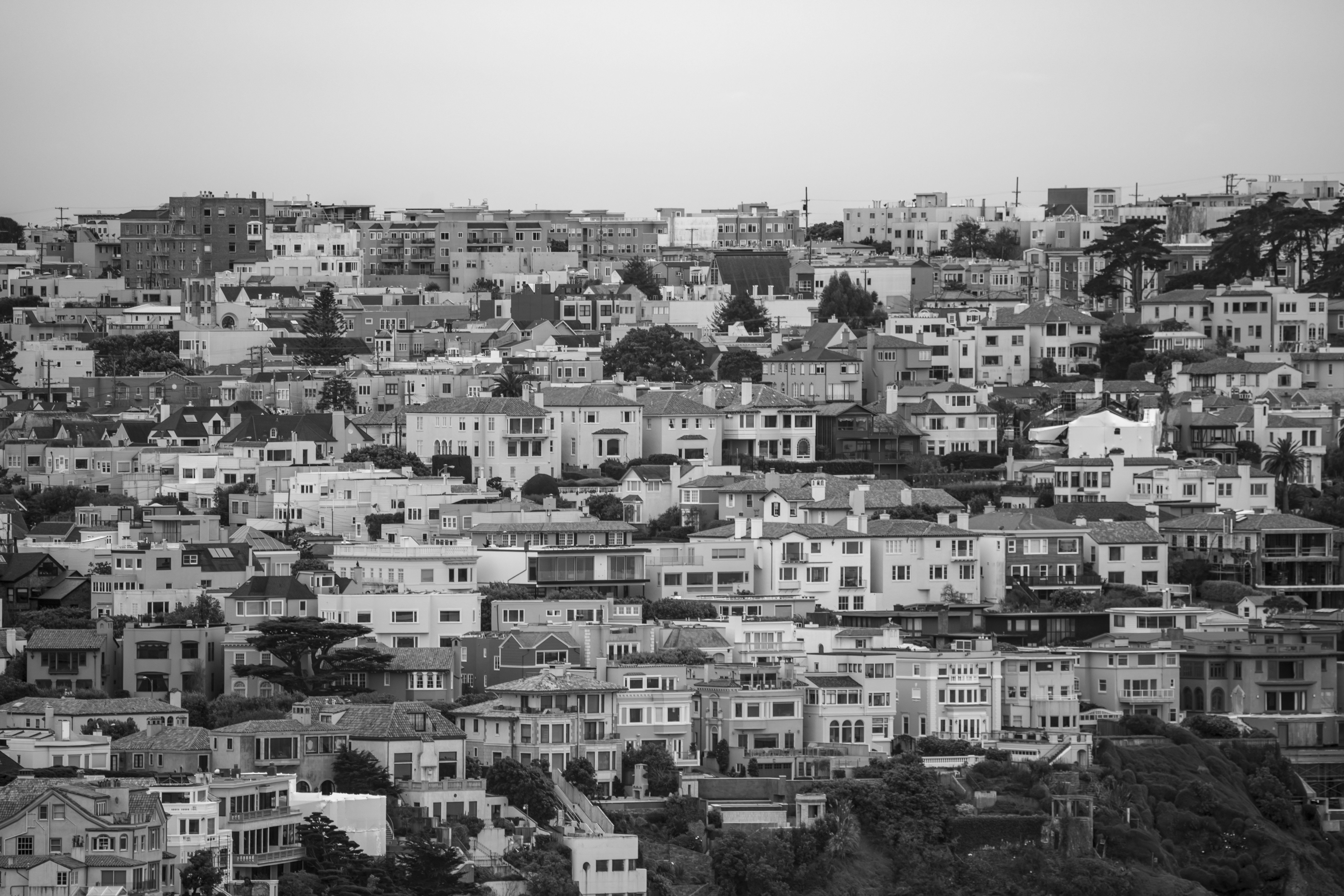 Photo by leo_visions_