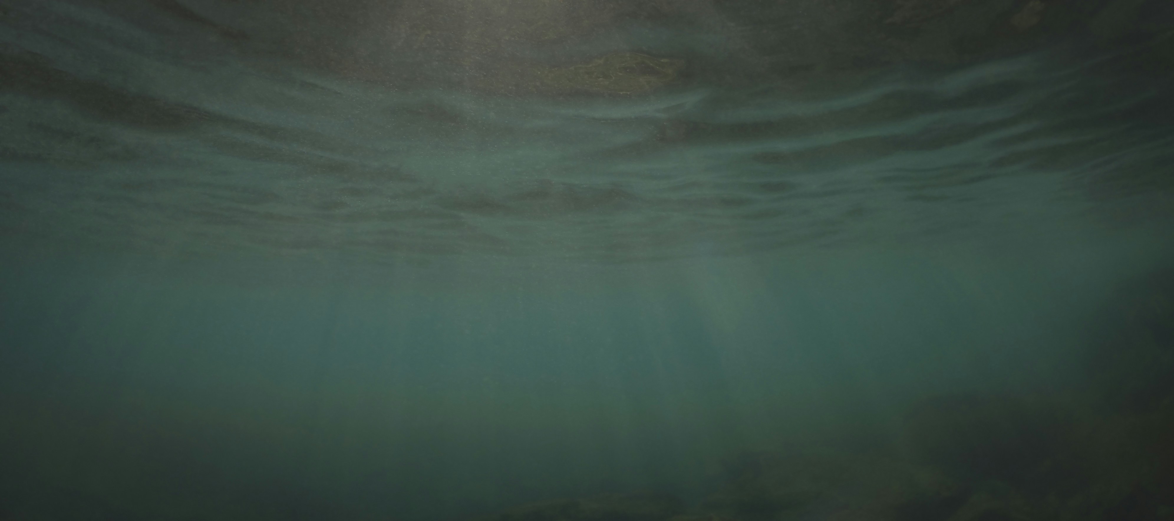 Photo by leo_visions_