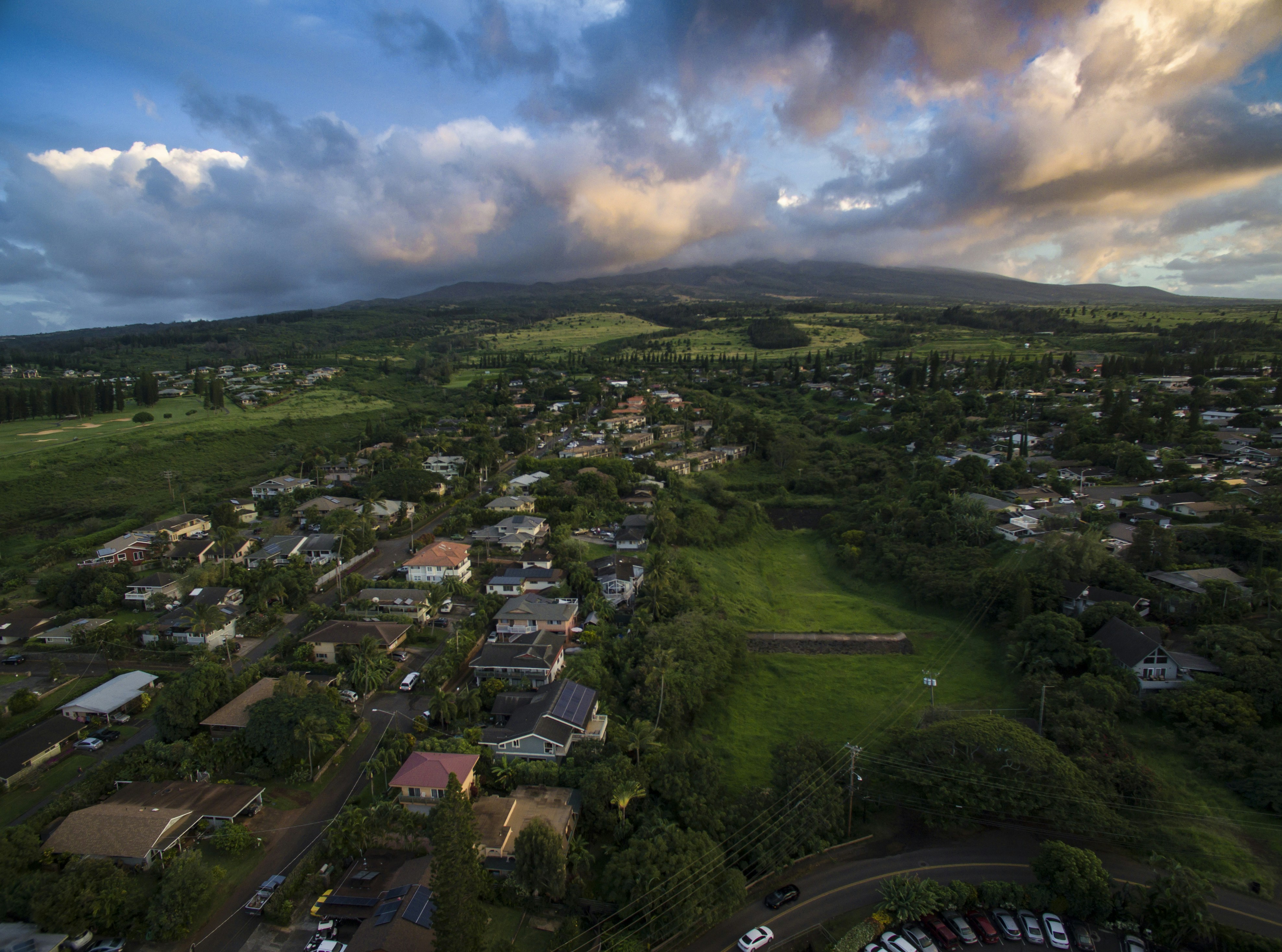 Landscape with trees and buildings