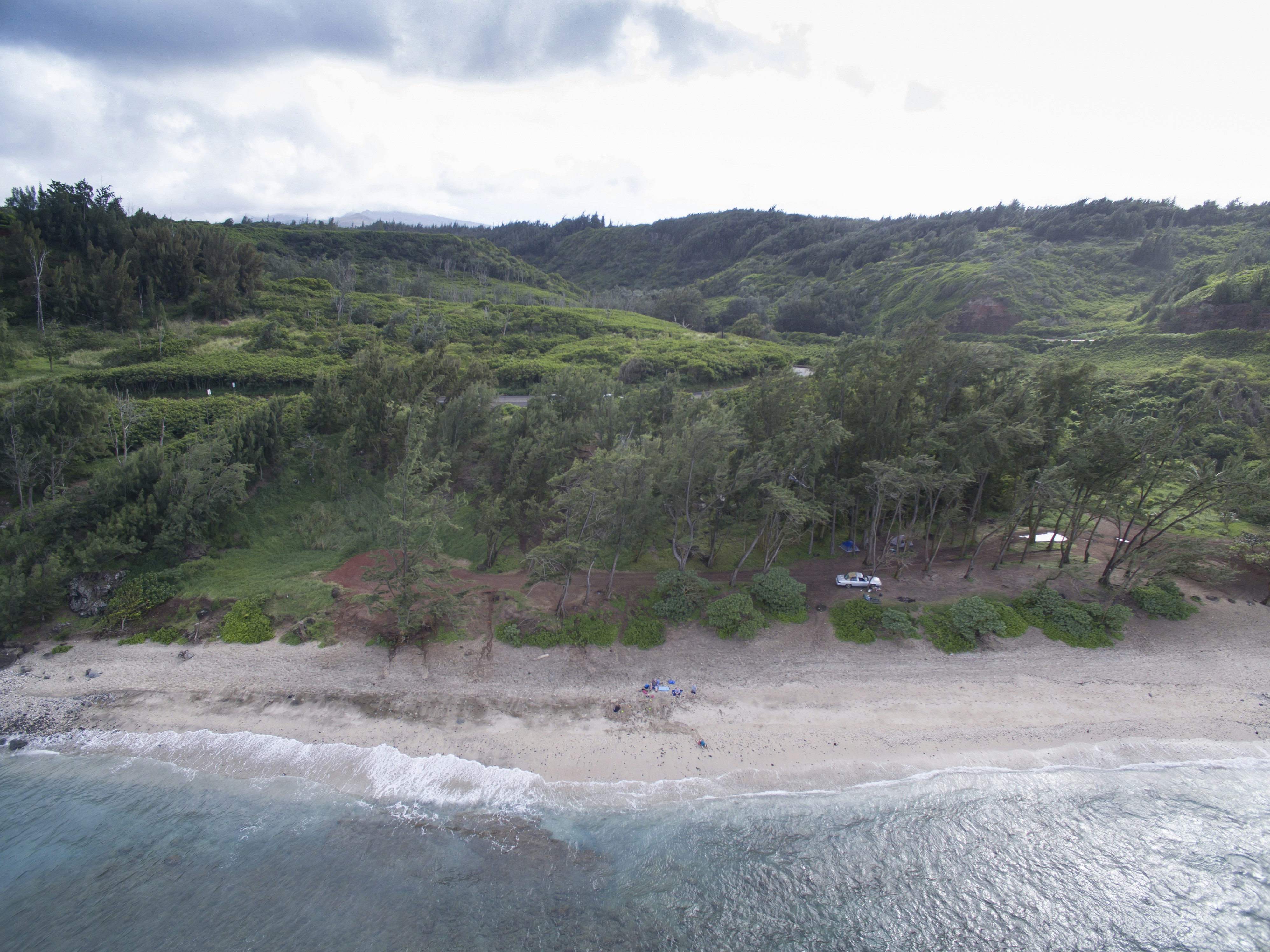 Photo by leo_visions_