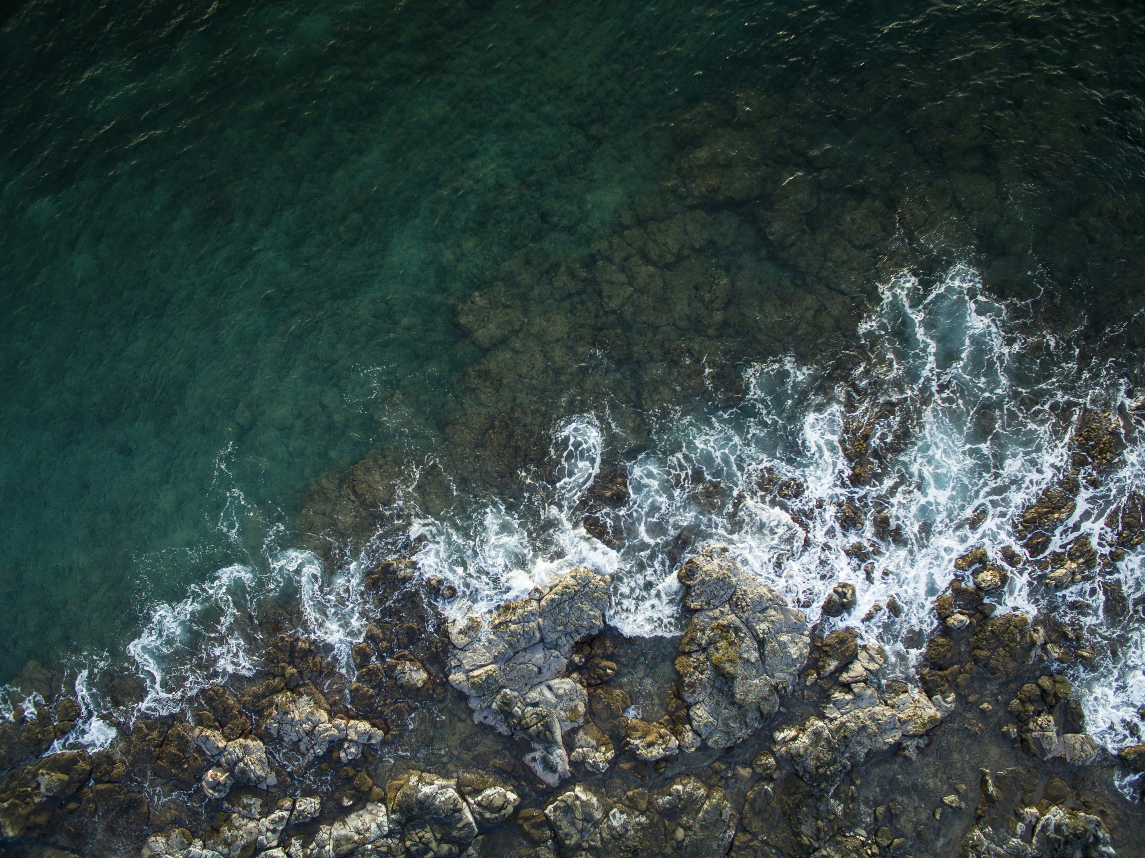 Photo by leo_visions_