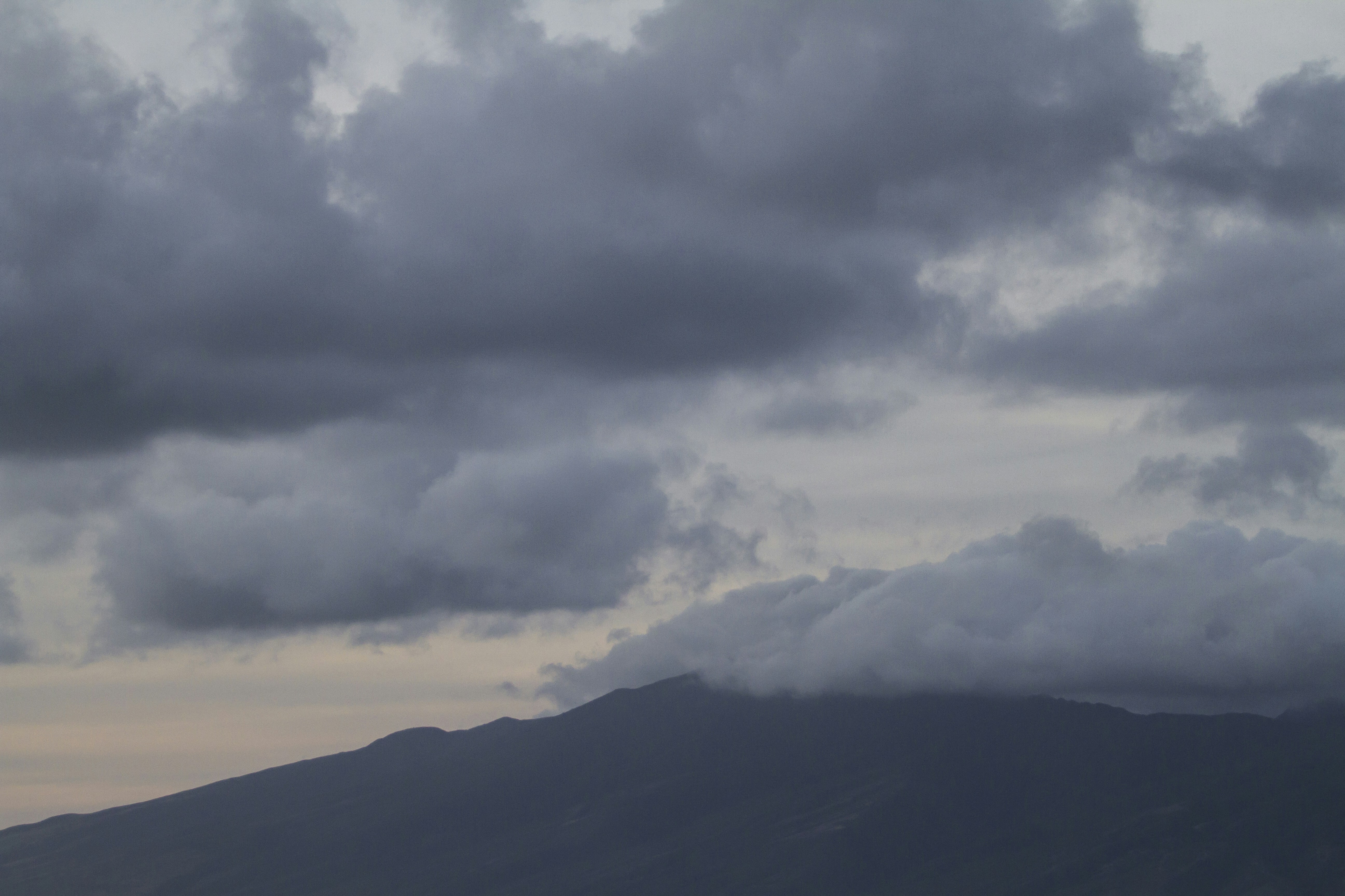 Photo by leo_visions_