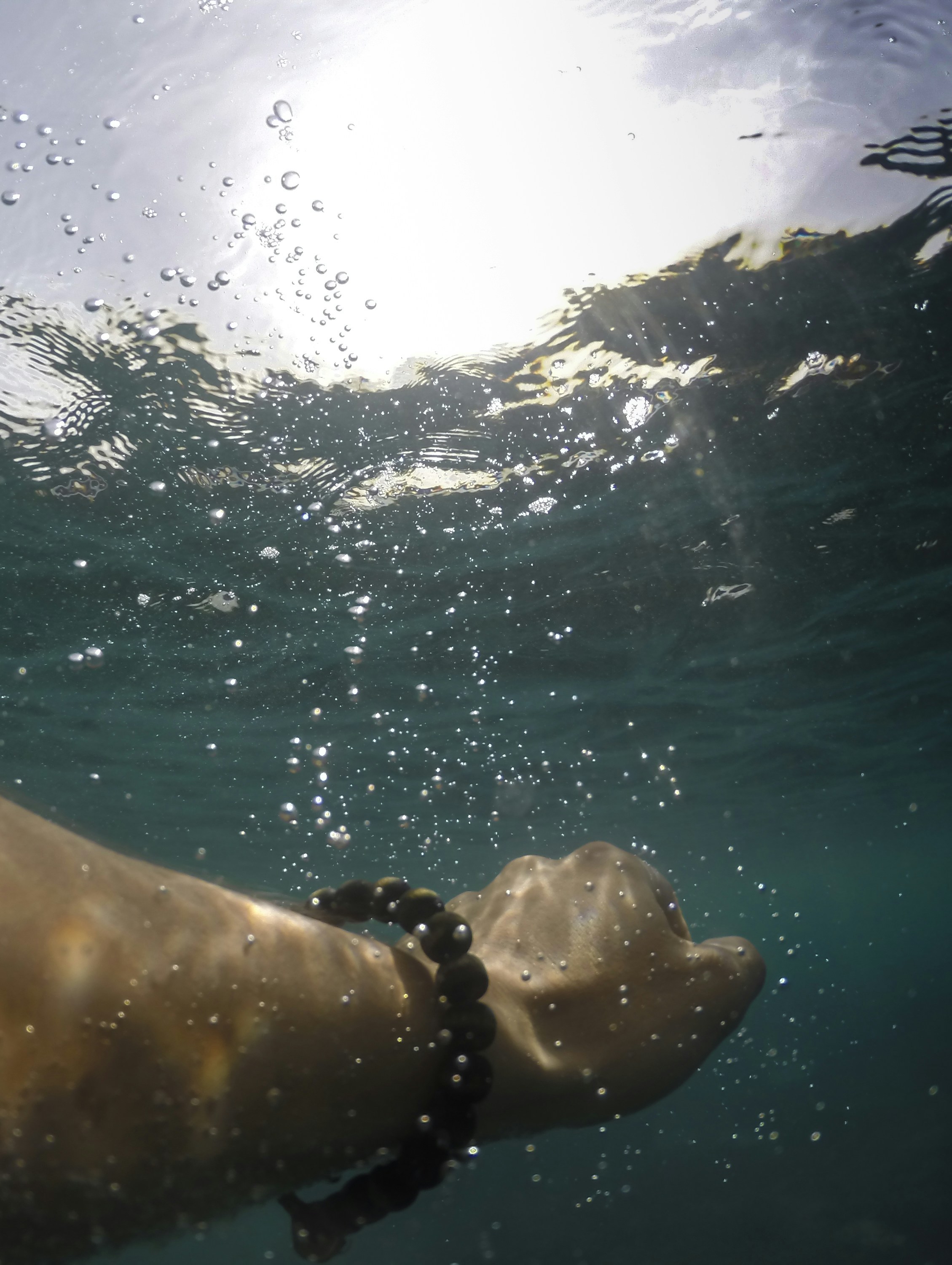 Photo by leo_visions_