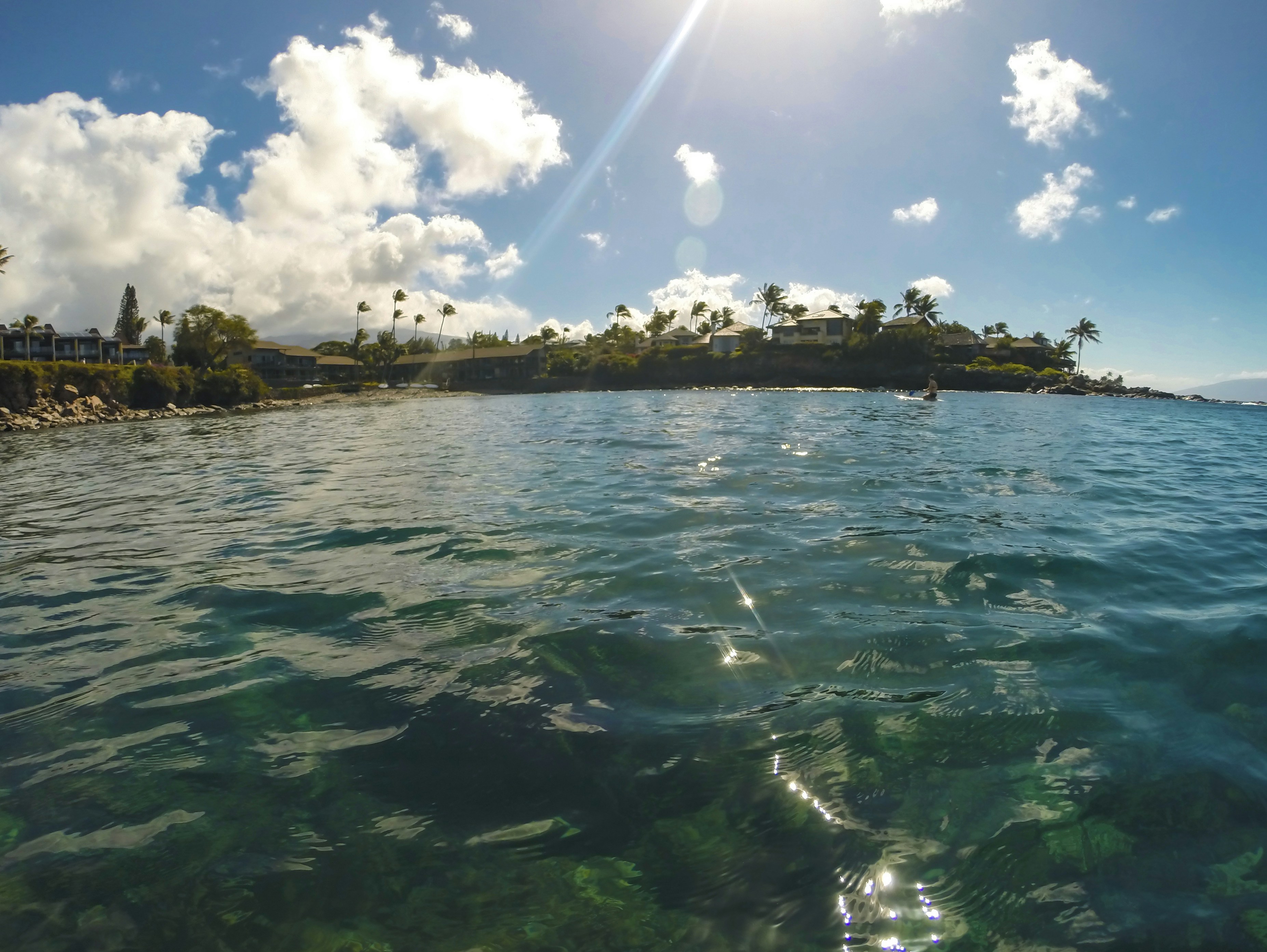 Photo by leo_visions_