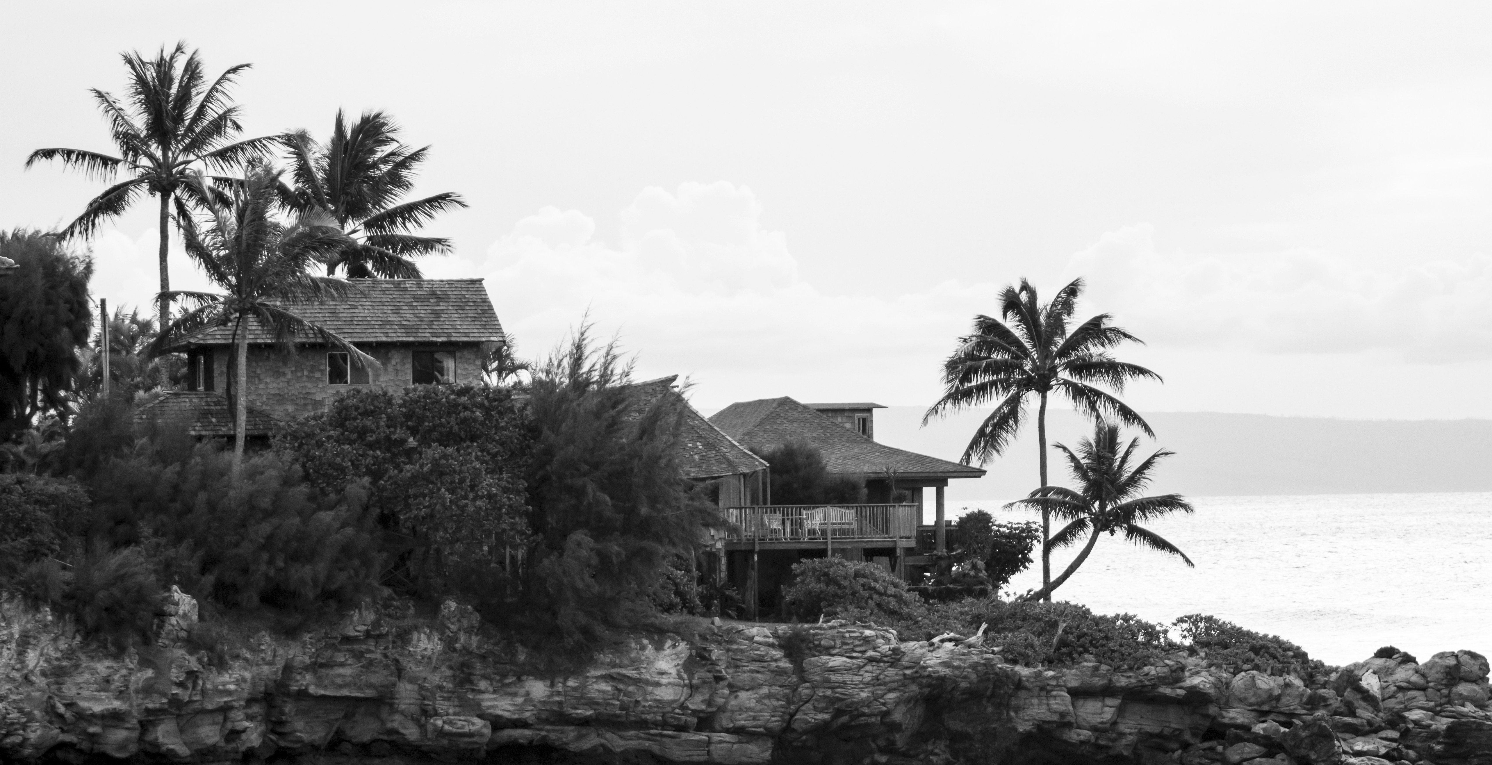 Photo by leo_visions_