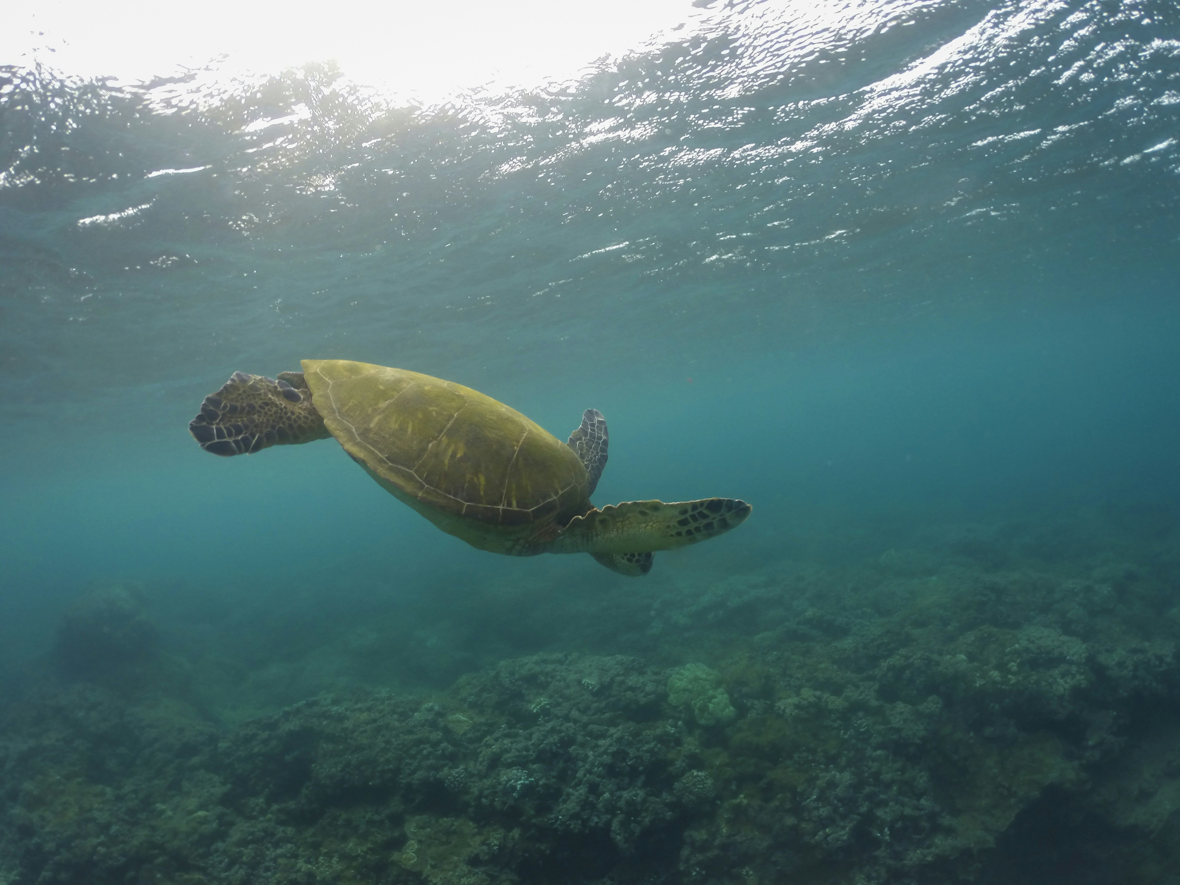 Photo by leo_visions_