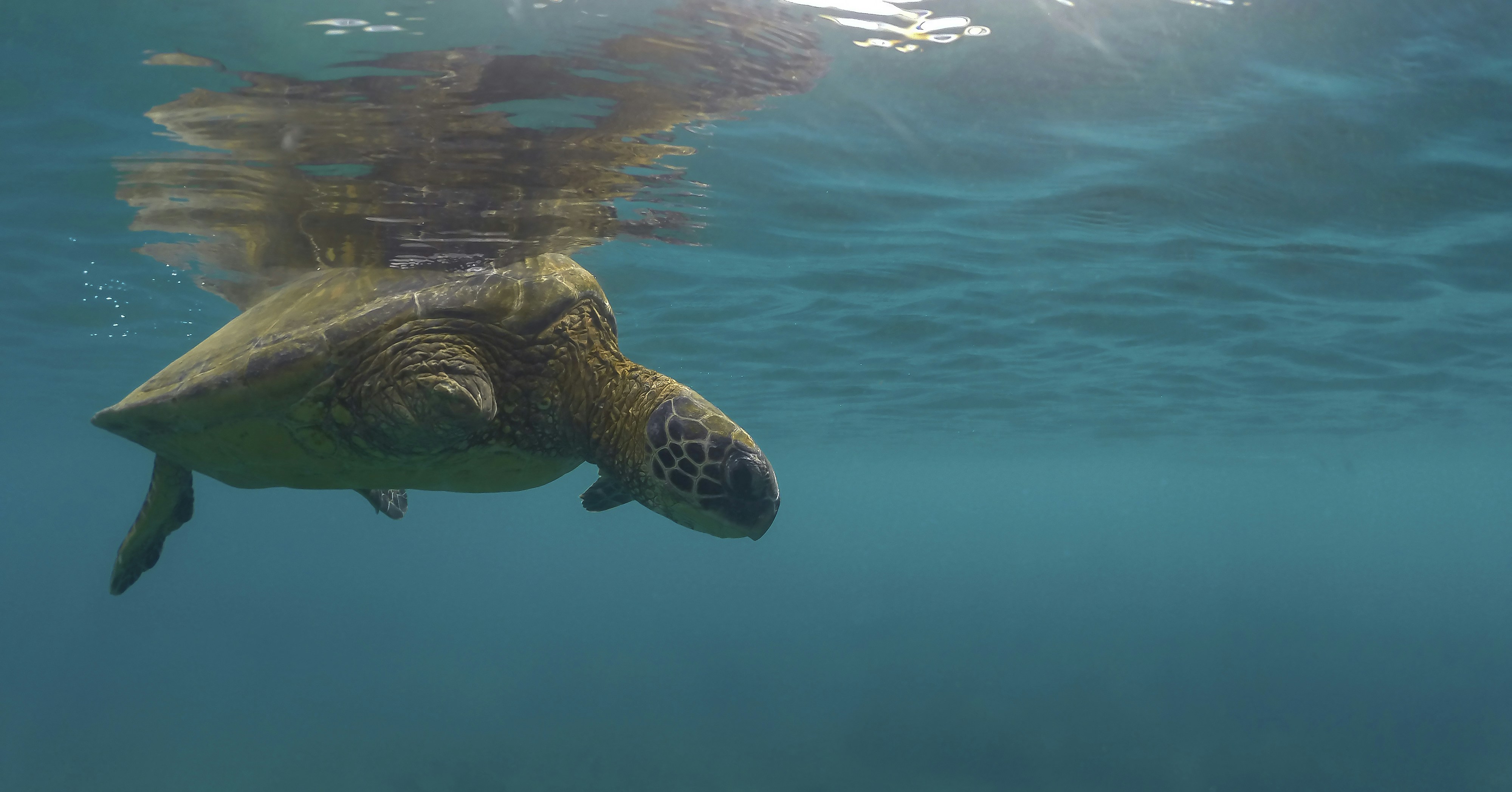 Photo by leo_visions_