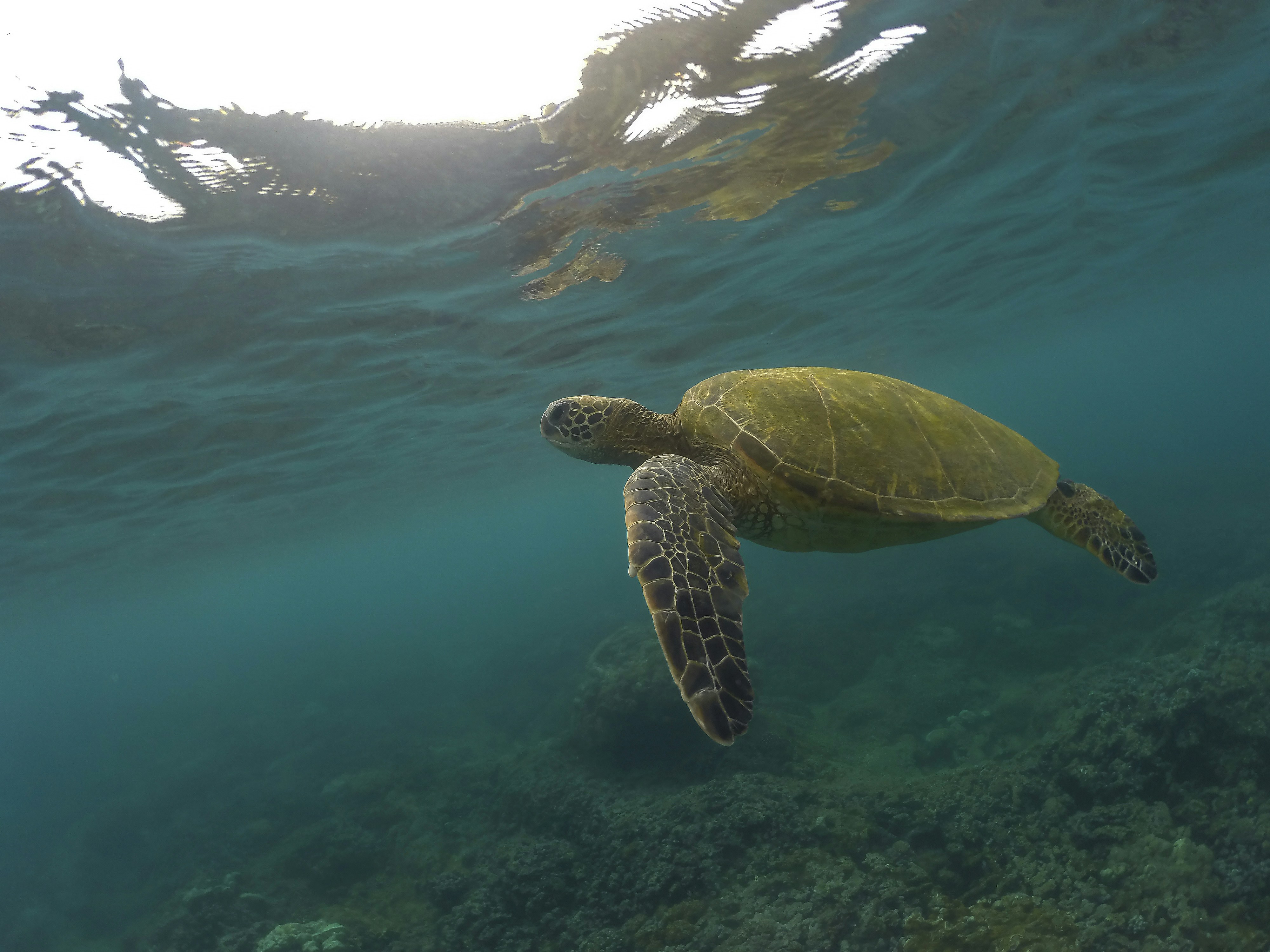 Photo by leo_visions_