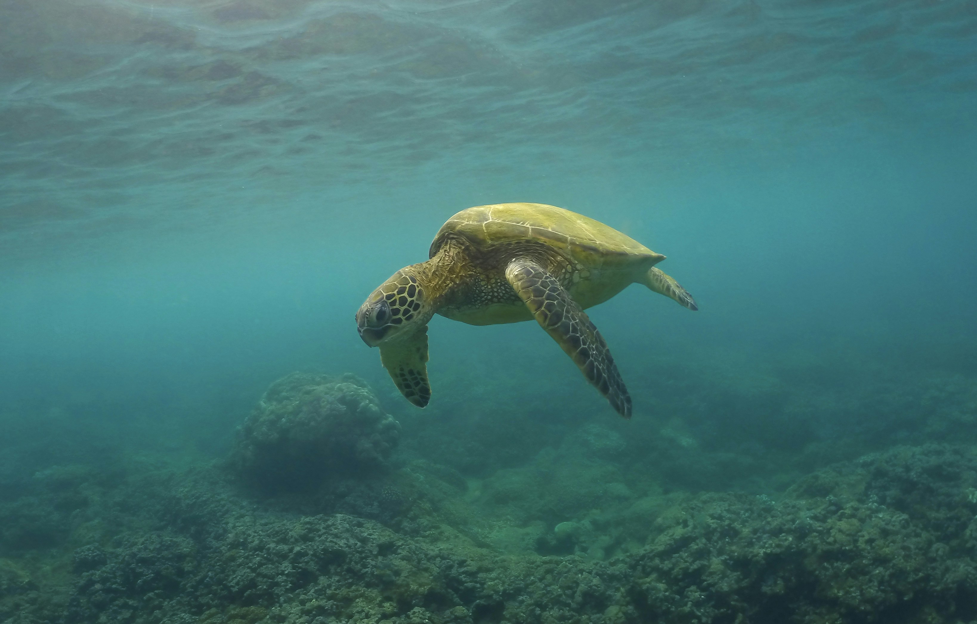 Photo by leo_visions_