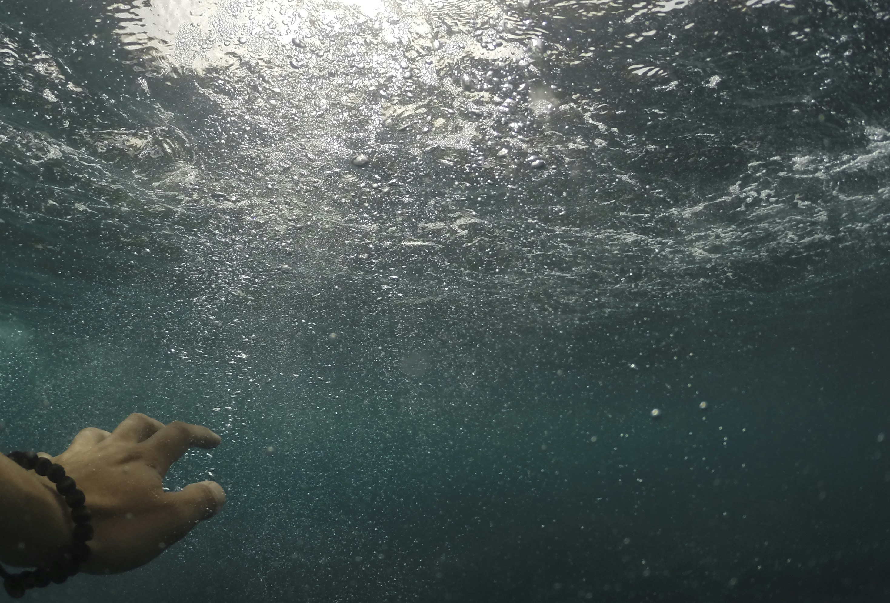 Photo by leo_visions_