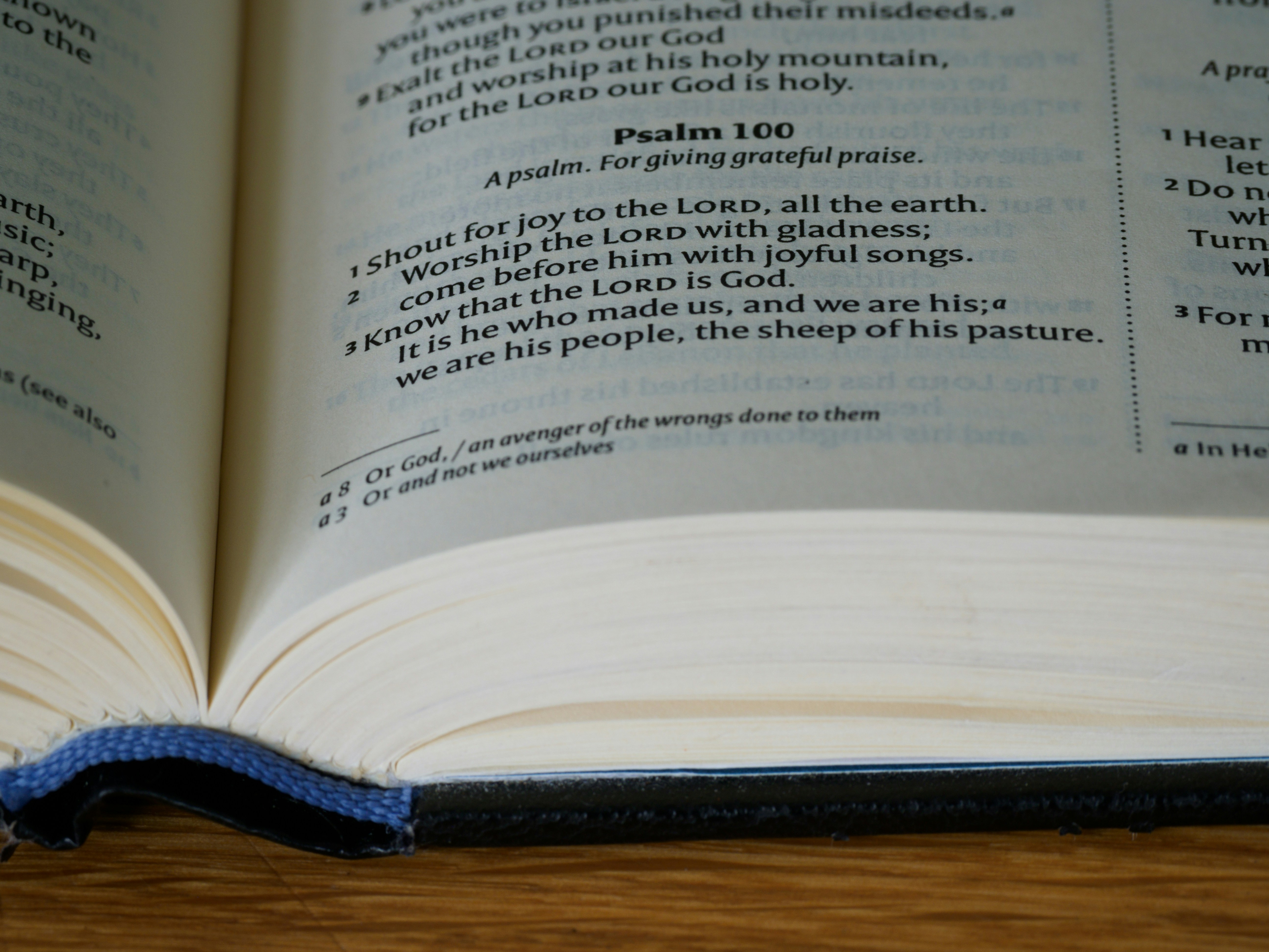 Photo by brett_jordan