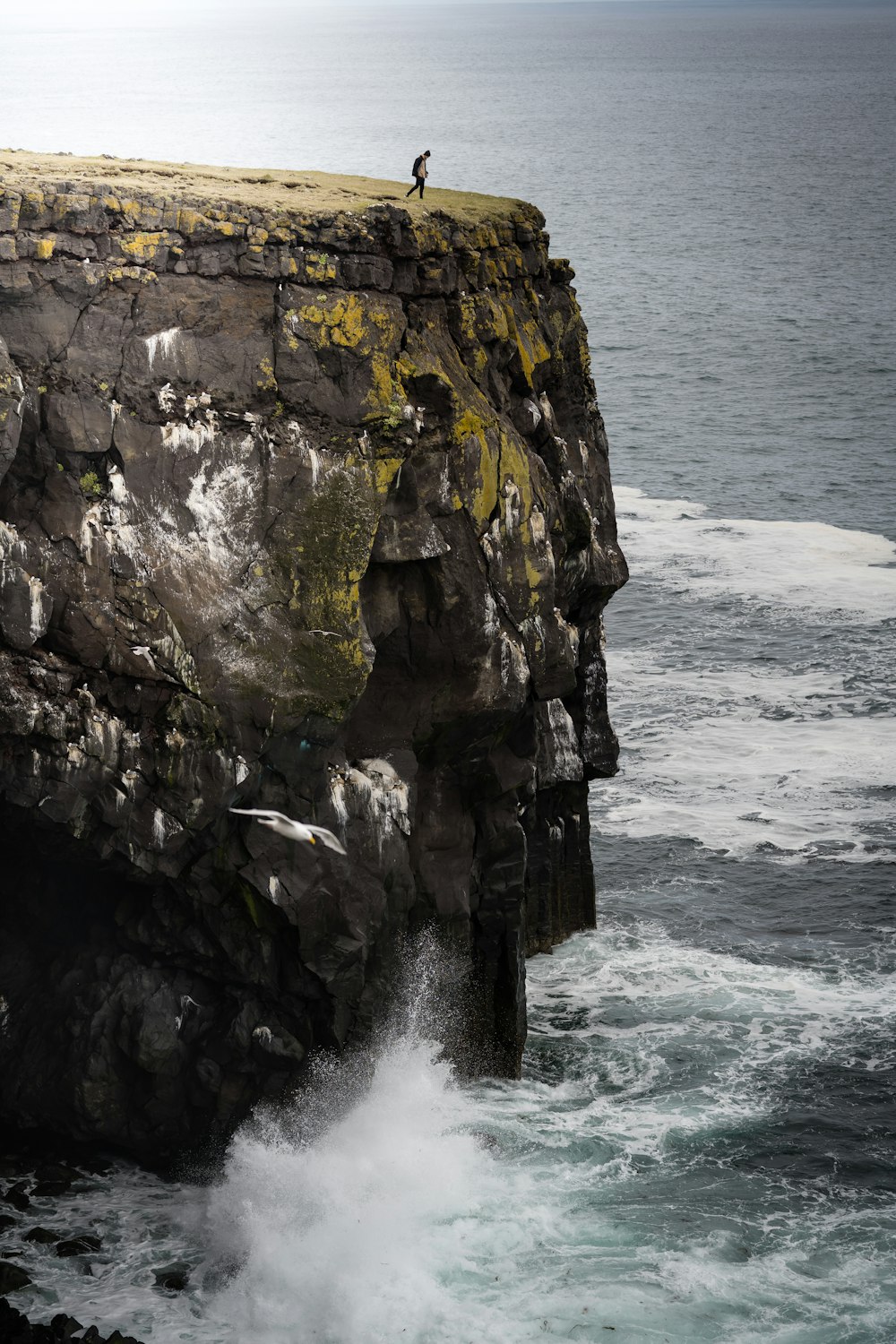 a person standing on a cliff