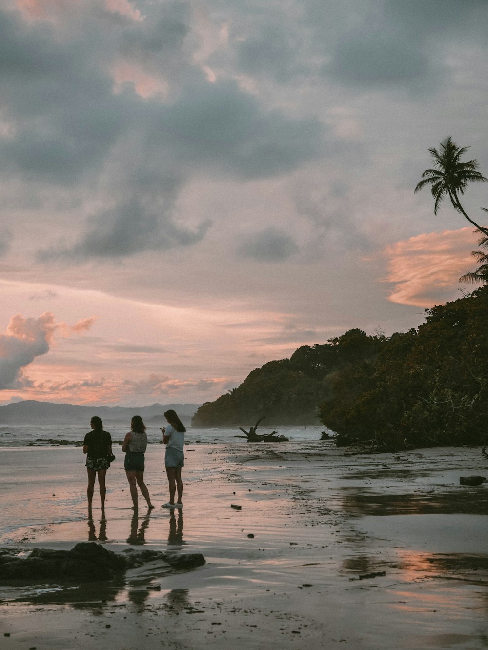 a group of people standing on a beach