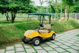 a golf cart parked on a driveway