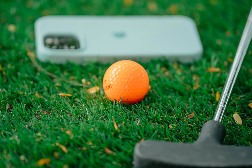 an orange on the grass