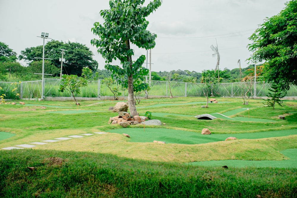 a grassy area with trees and a fence in the background