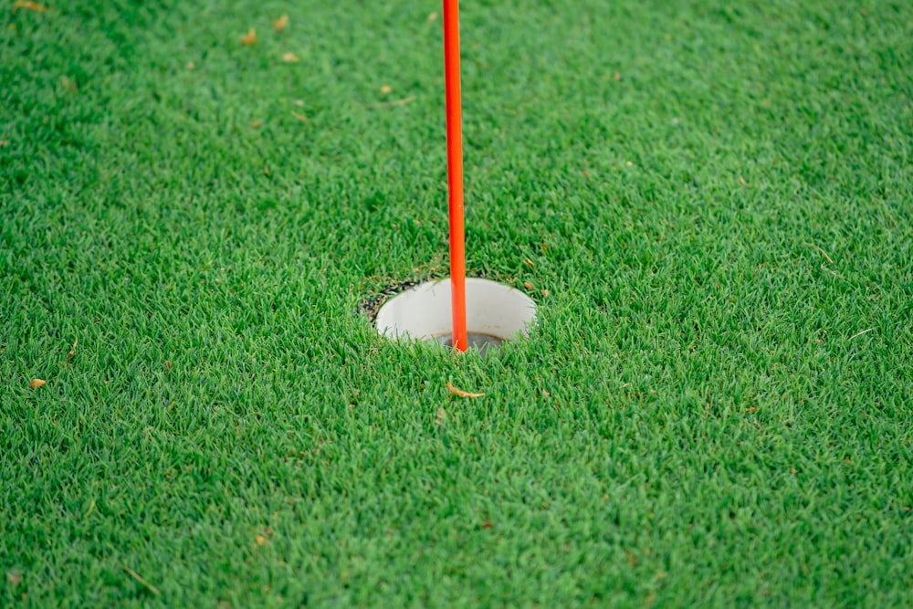 a shovel in the grass