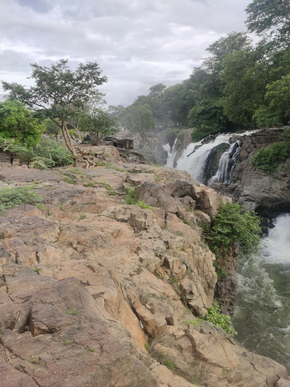 a rocky cliff with trees and a waterfall