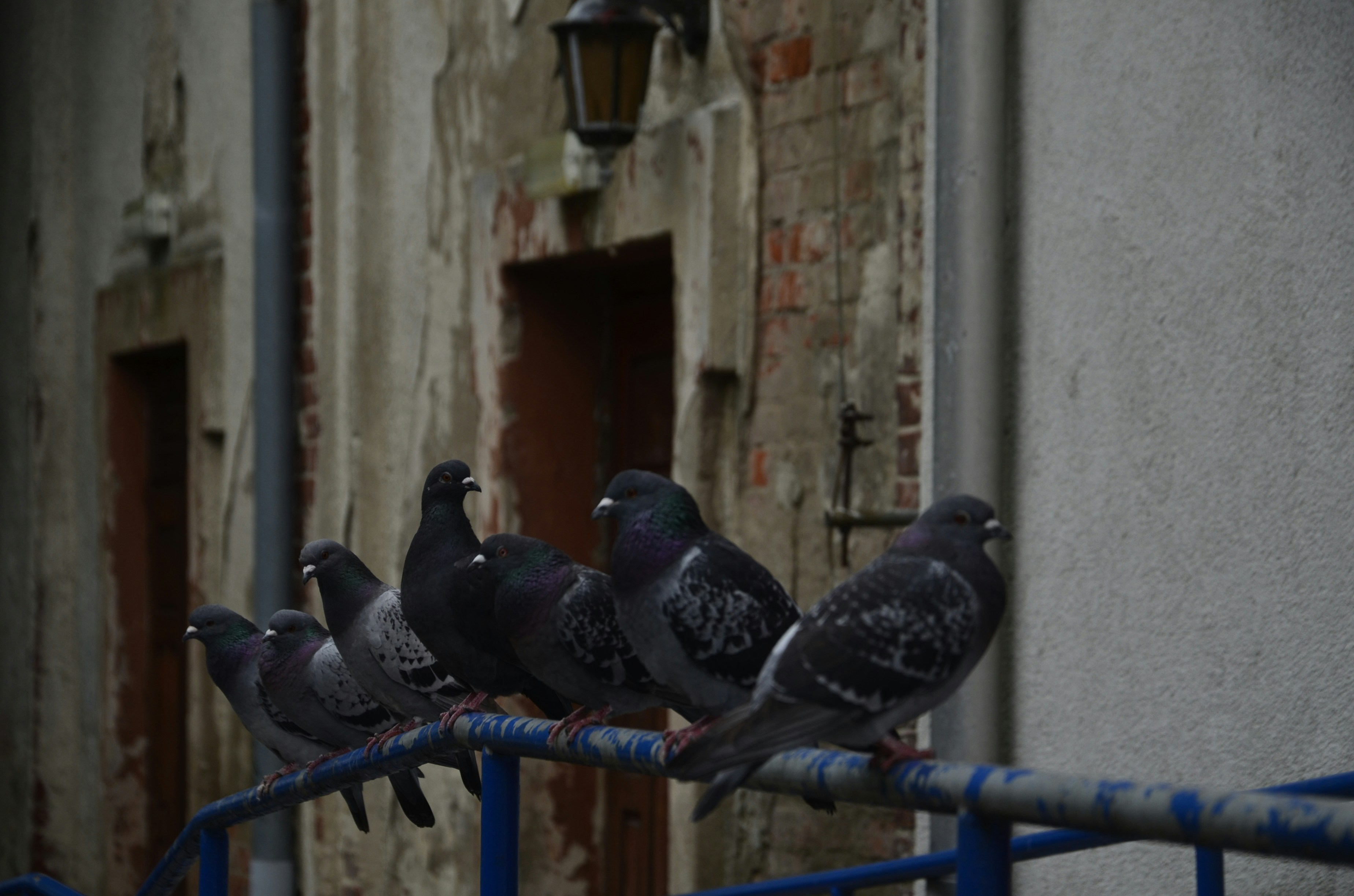 Photo by renovatio72