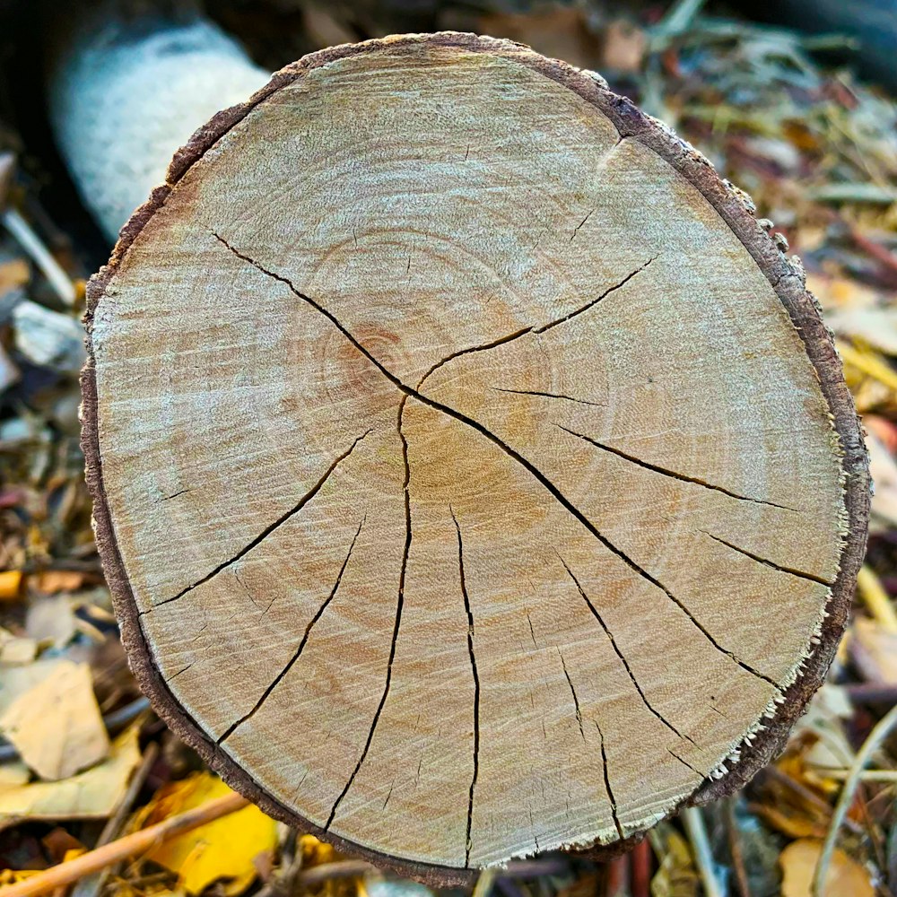 a close up of a coconut