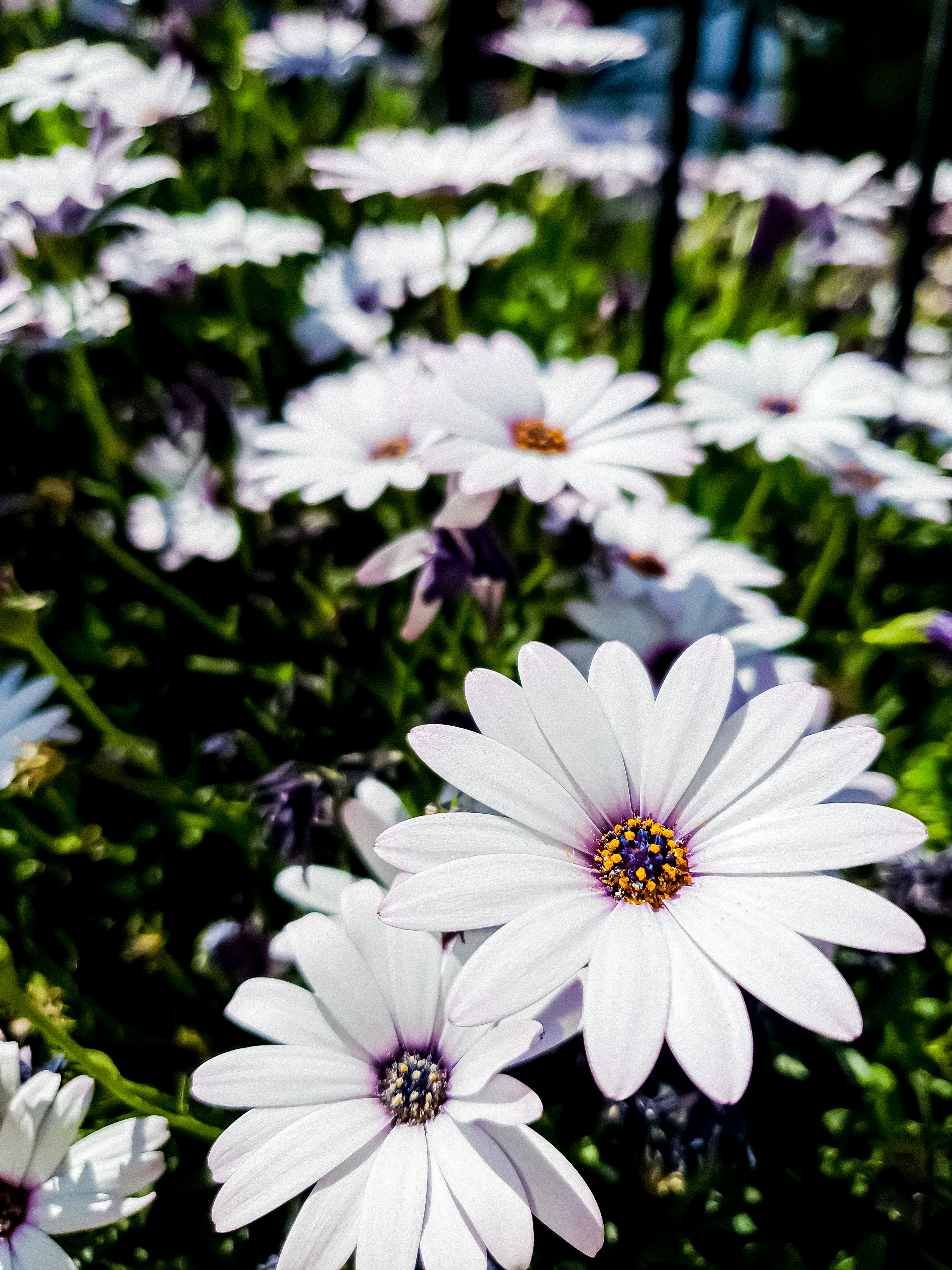 Photo by willie_kudzai