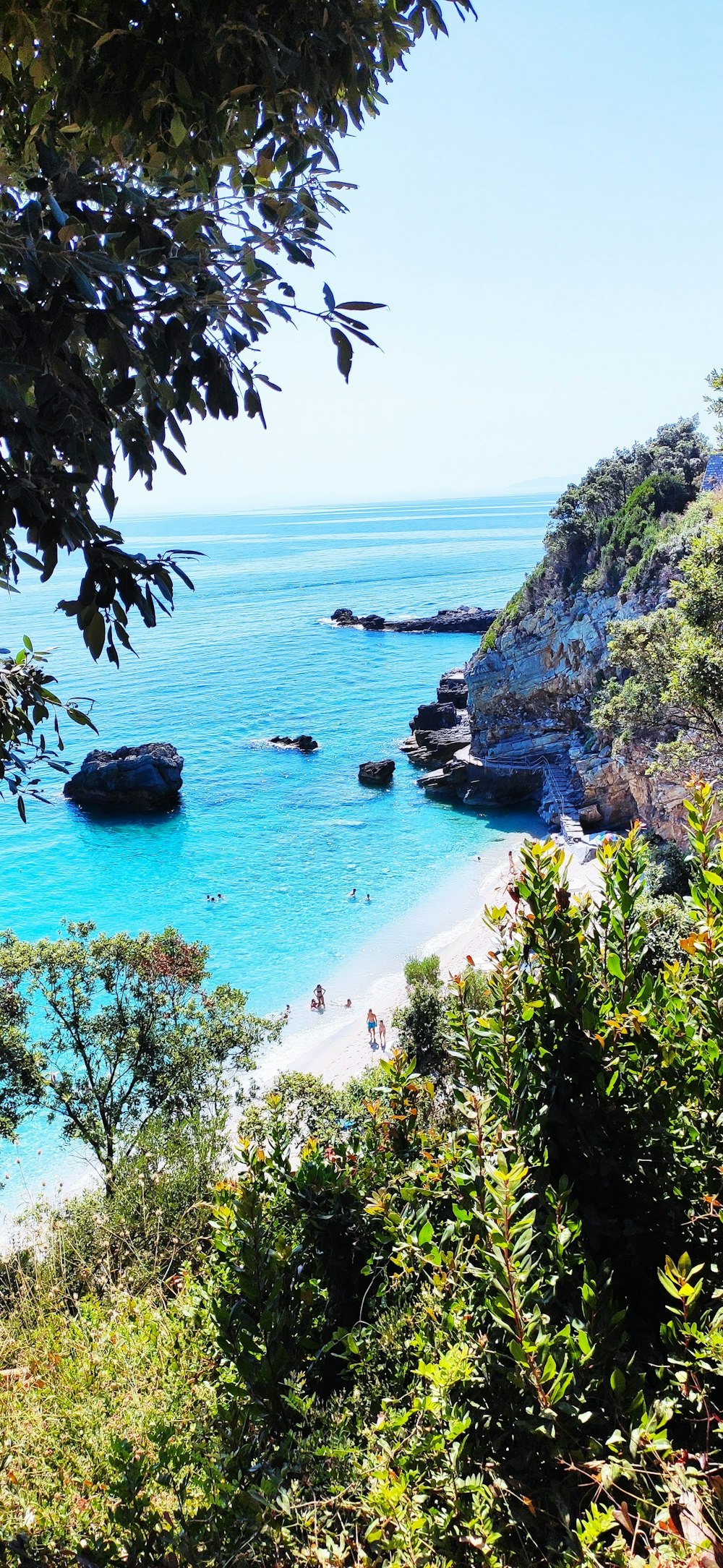 a beach with people on it