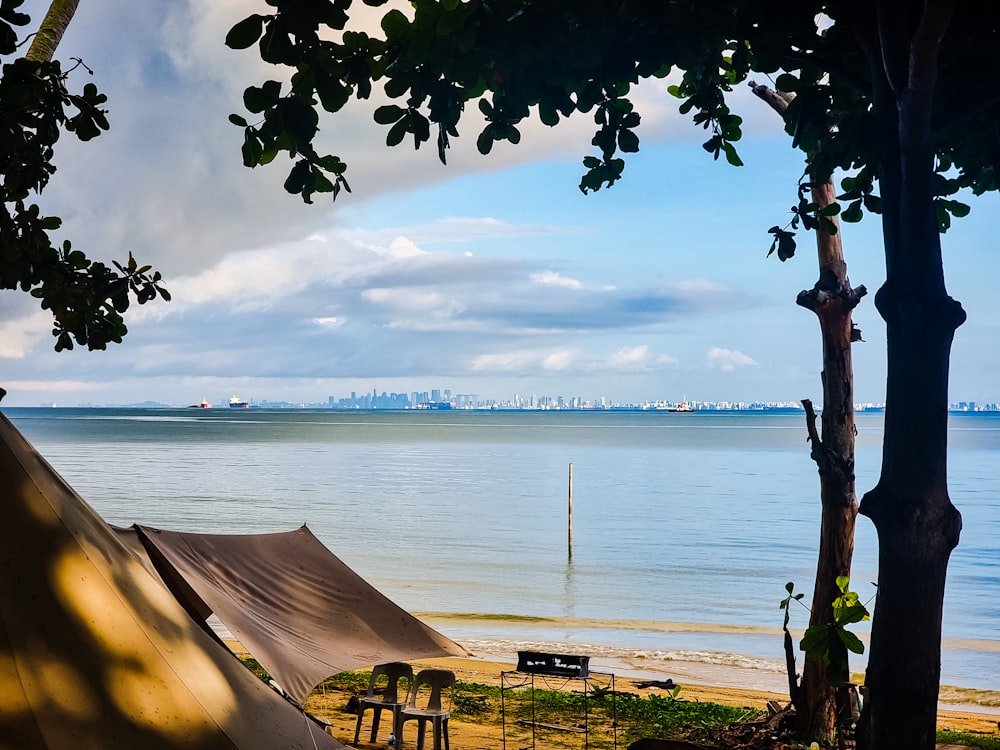 a beach with a body of water