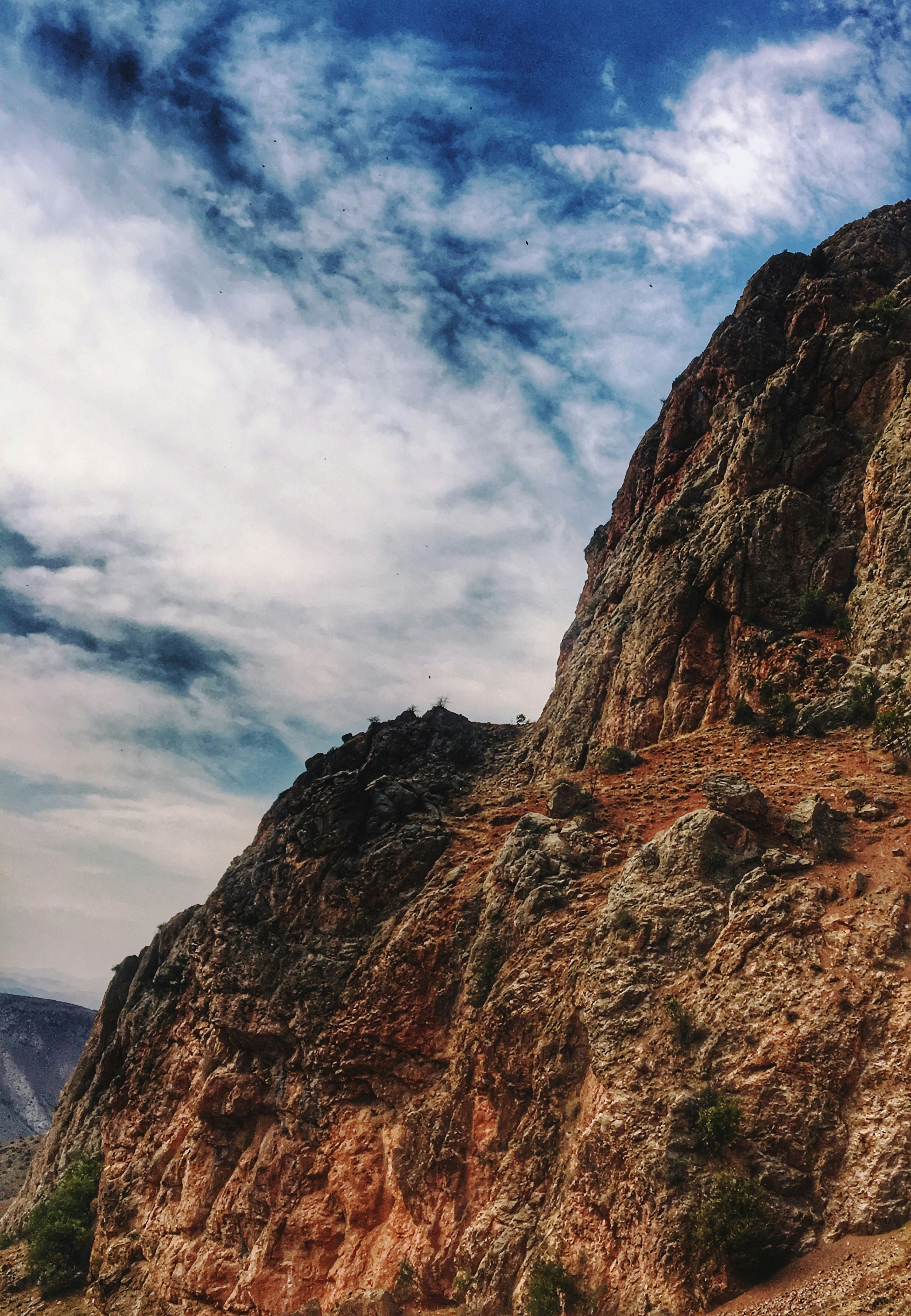 Photo by trofimova_photographer