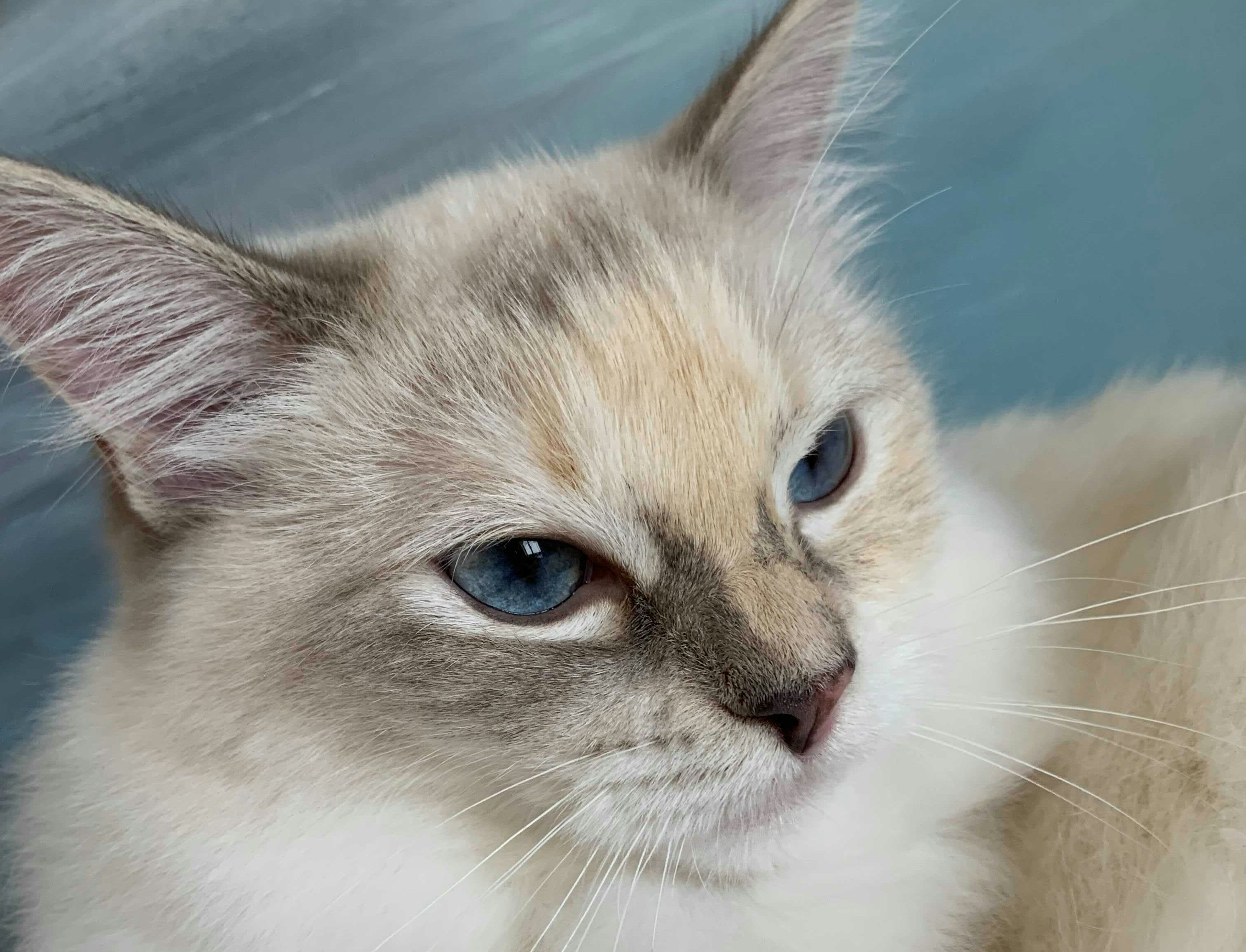 Photo by eggerproducts