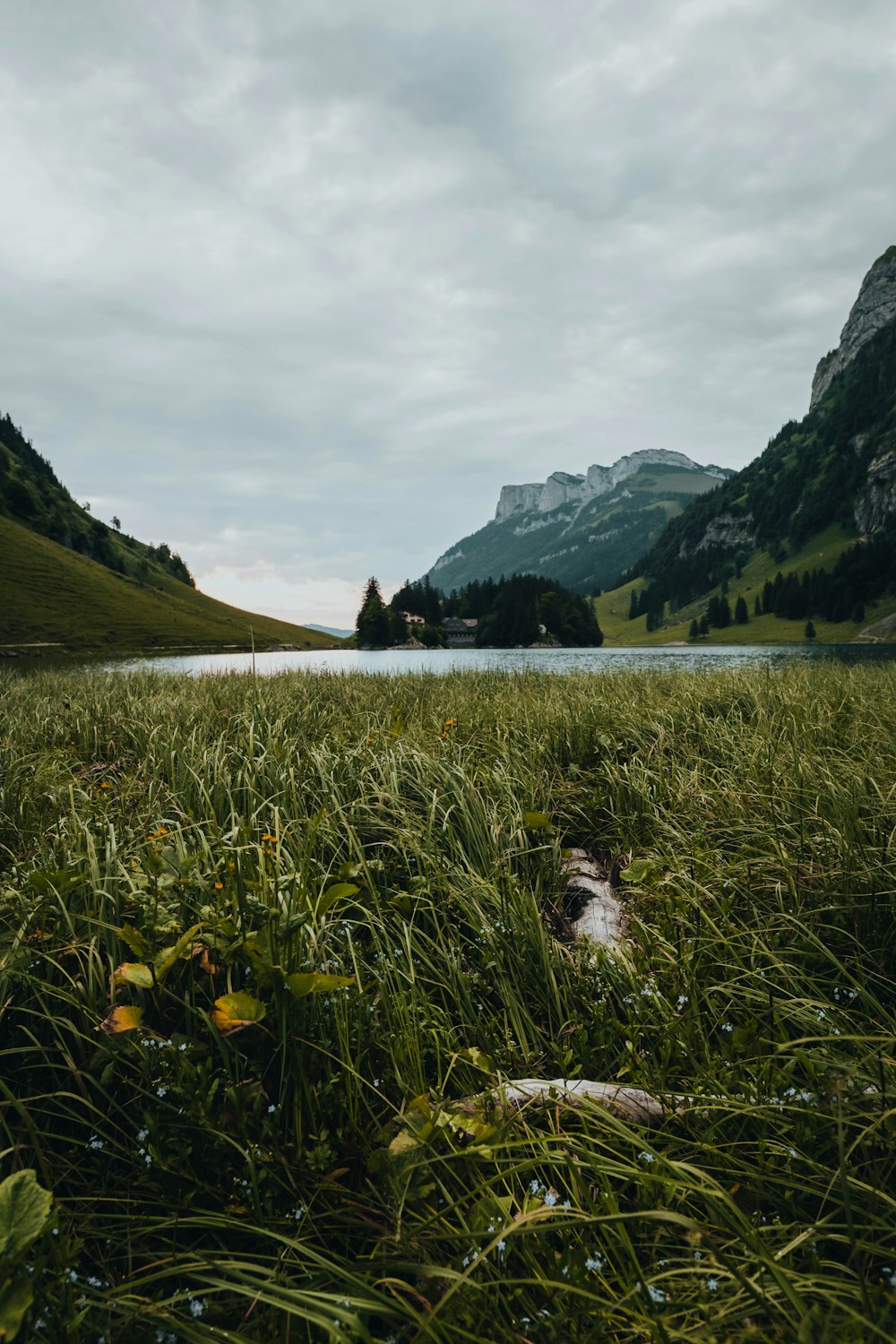 a body of water with grass and hills around it