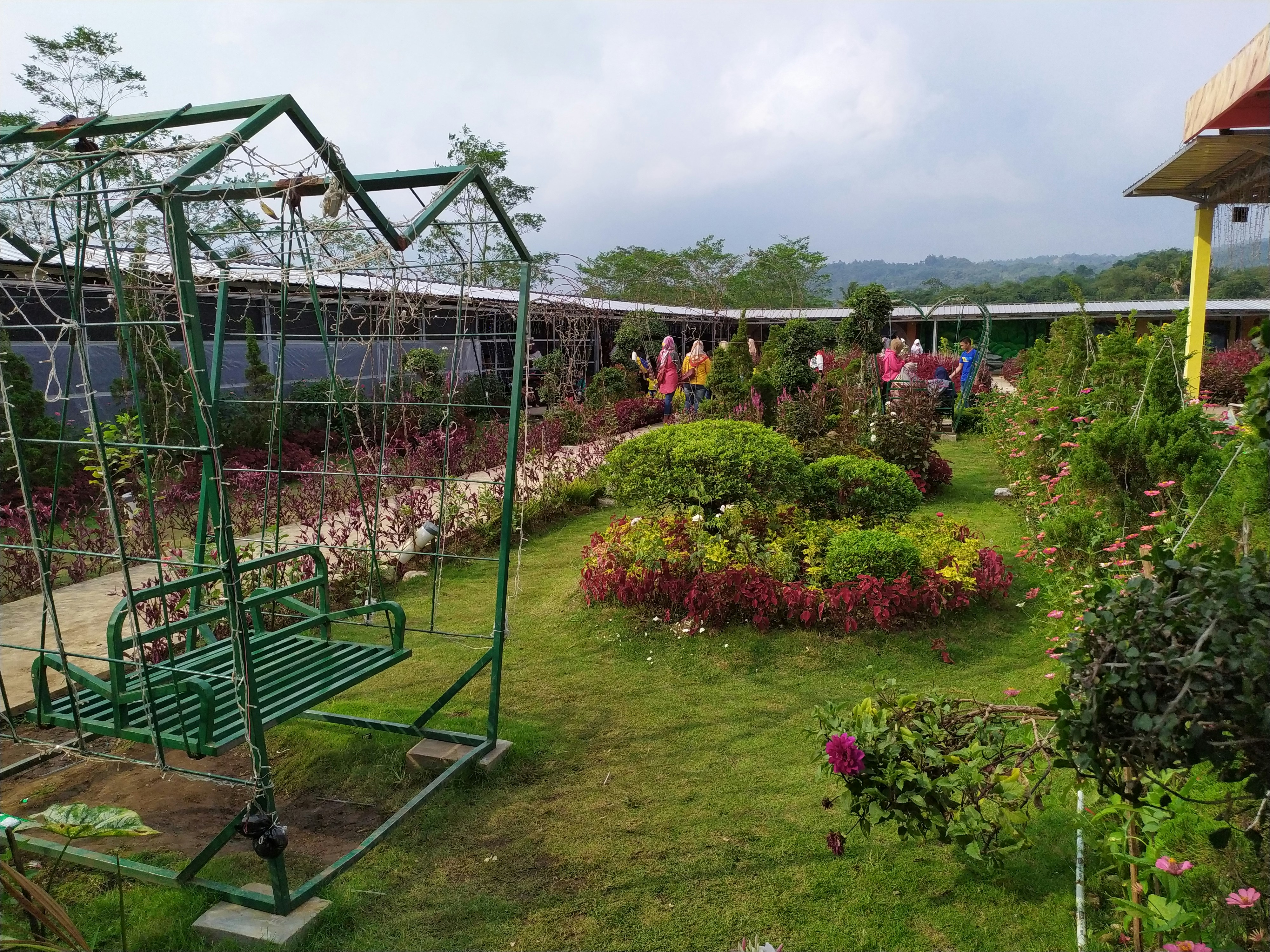 ein Garten mit einem Trampolin